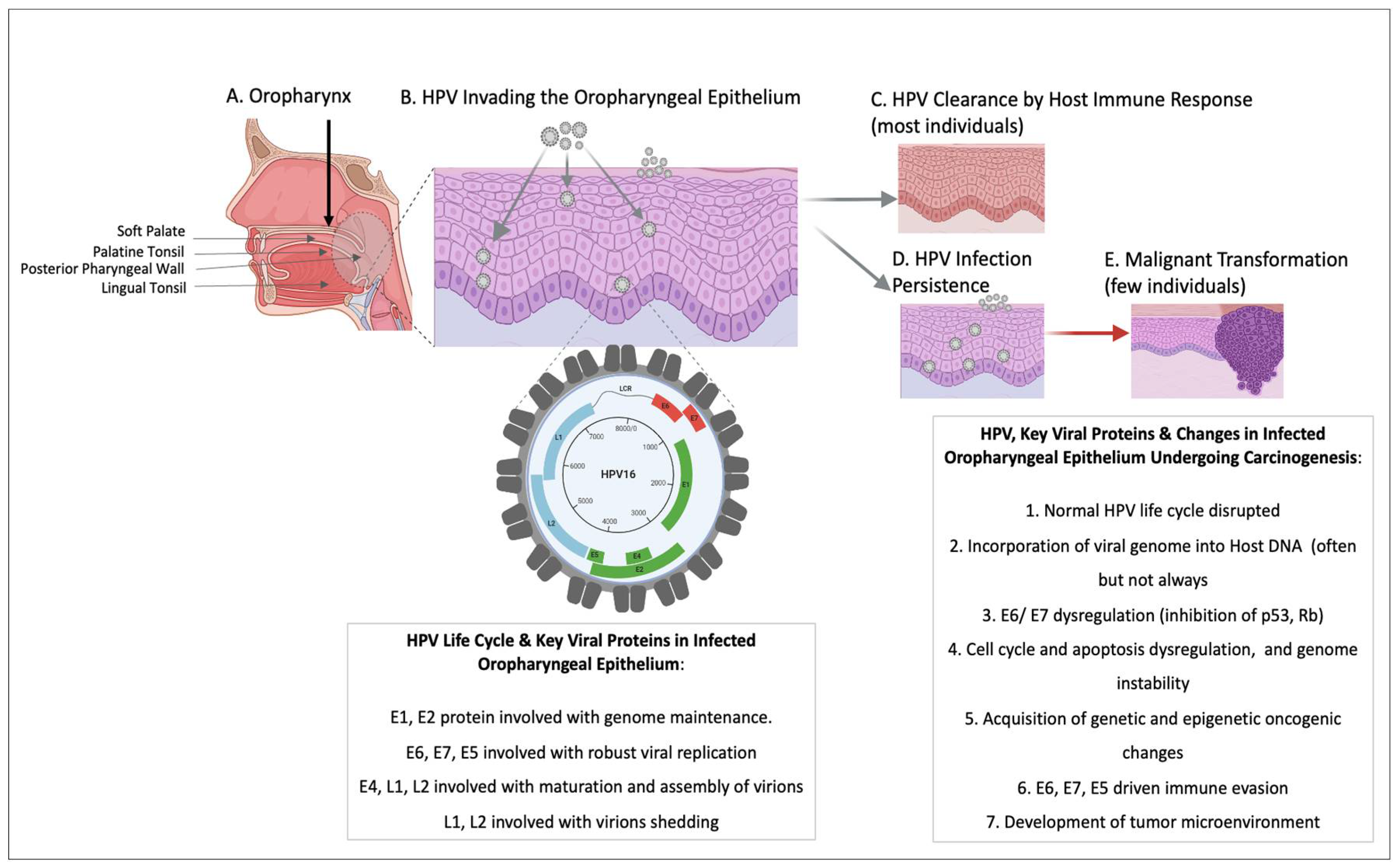 Preprints 110458 g001