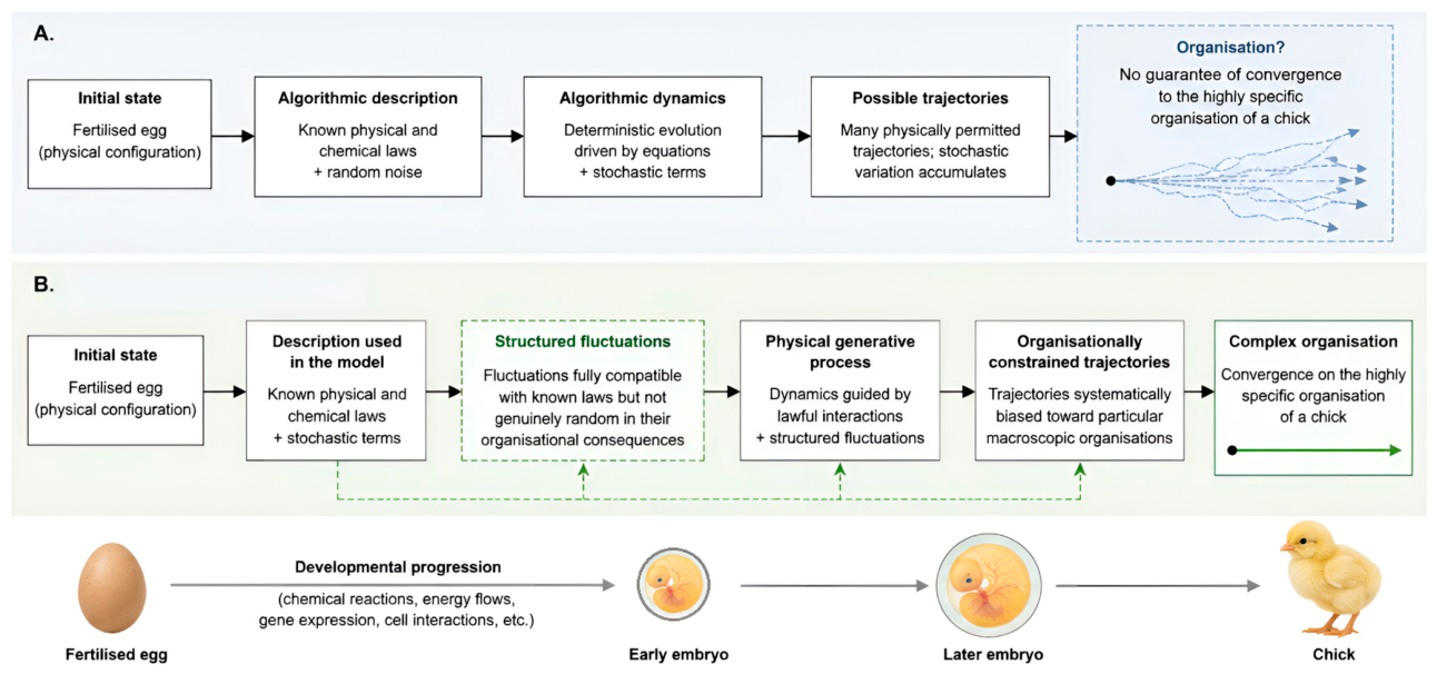 Preprints 231536 g001 Preprints 231536 g001