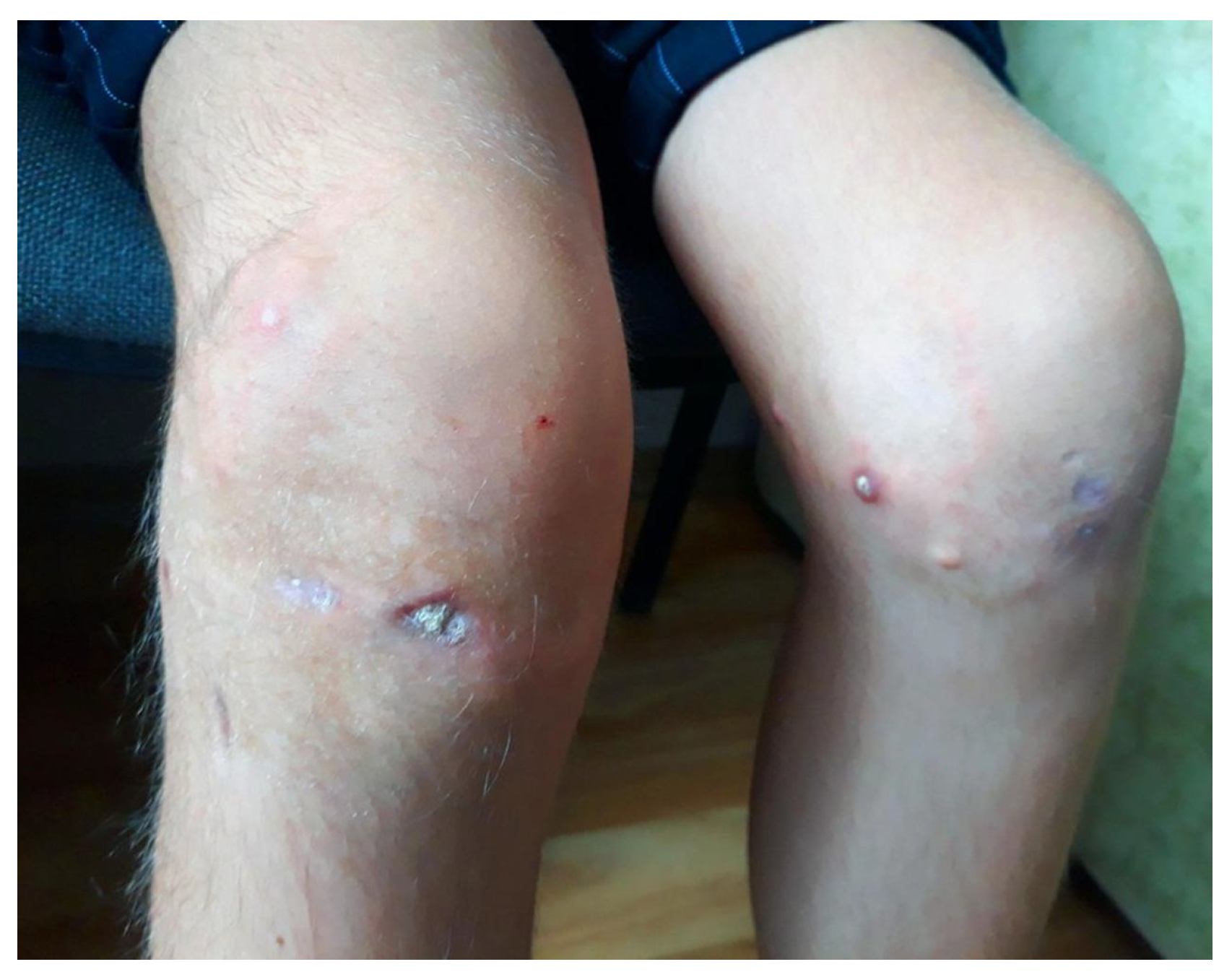 Preprints 145326 g001