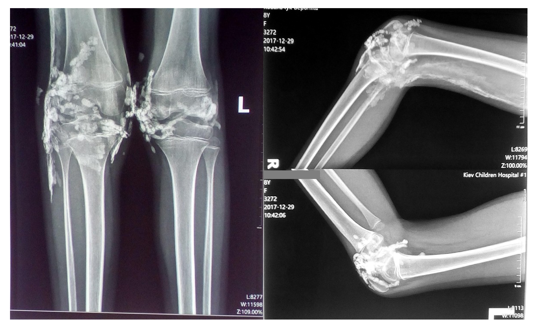 Preprints 145326 g002