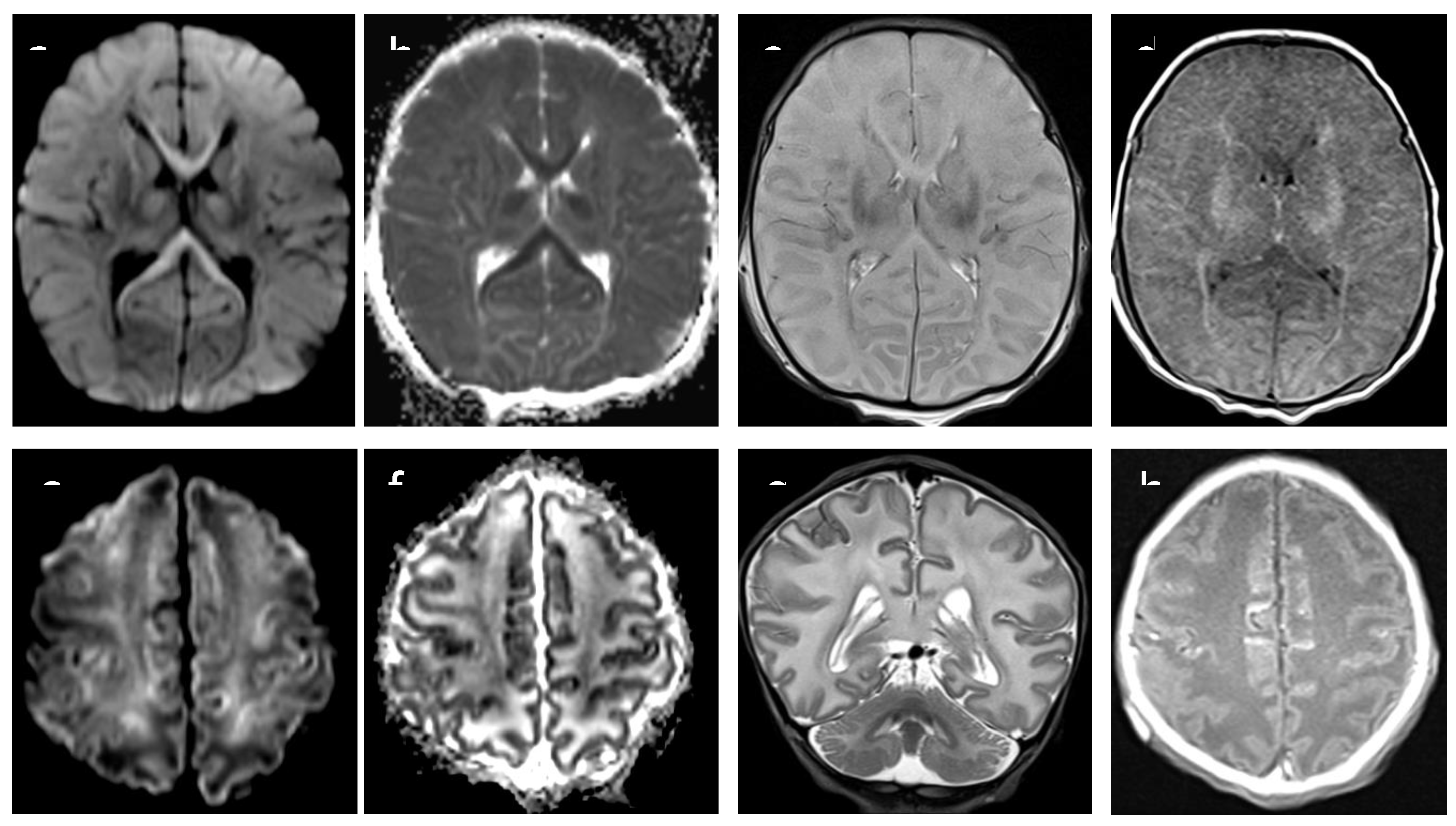 Preprints 69649 g001