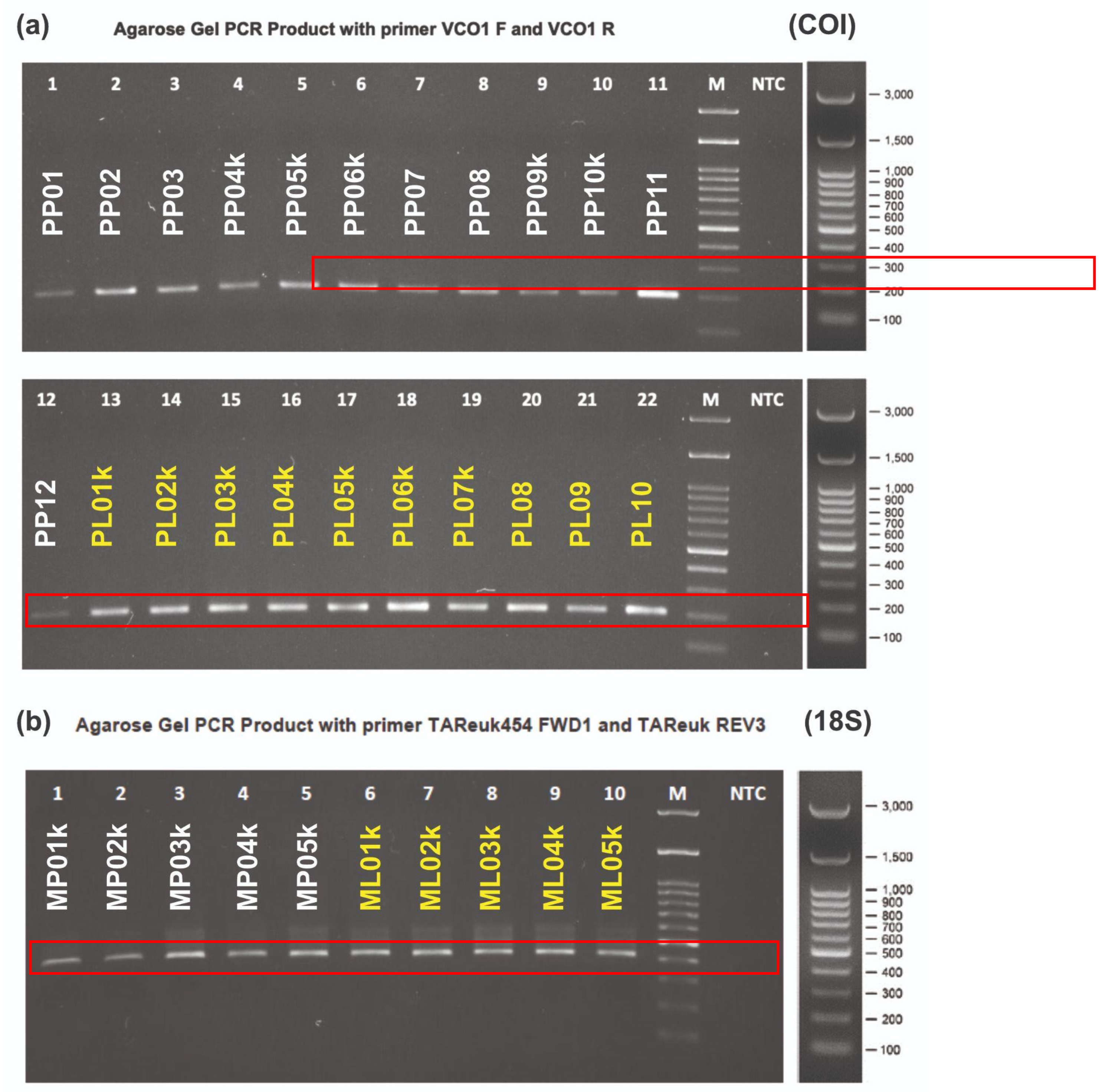 Preprints 154149 g002