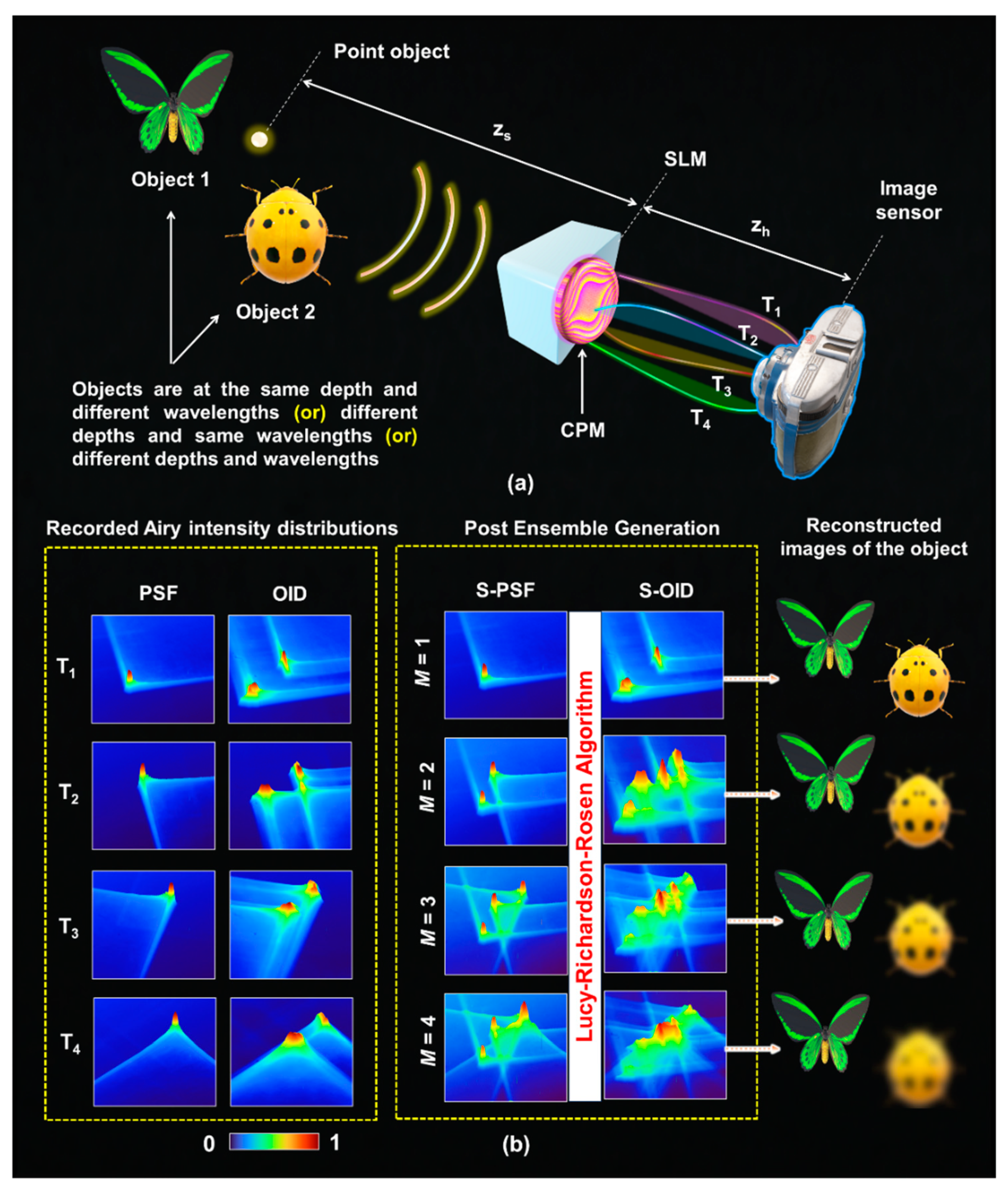Preprints 155993 g013