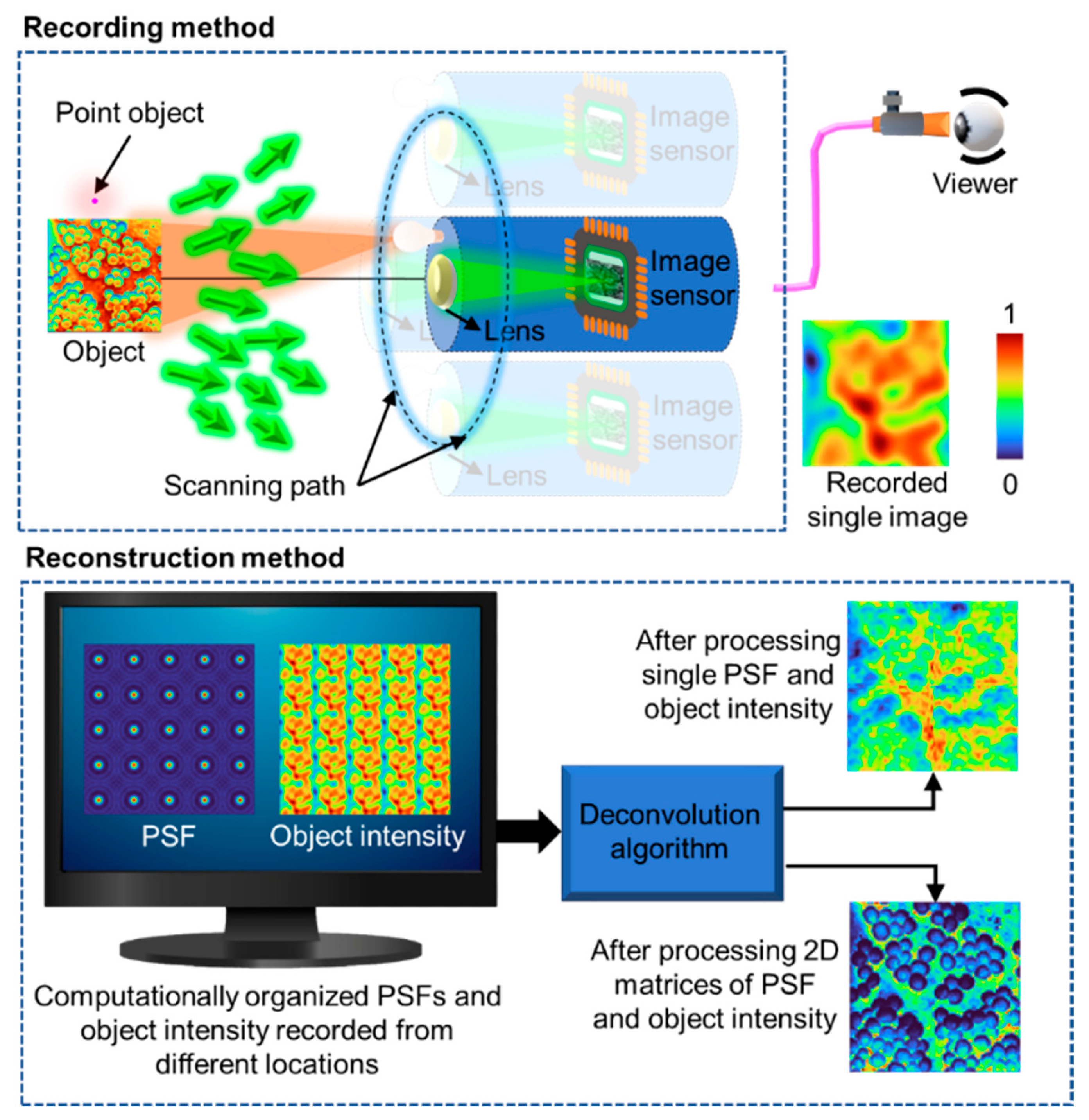 Preprints 155993 g015