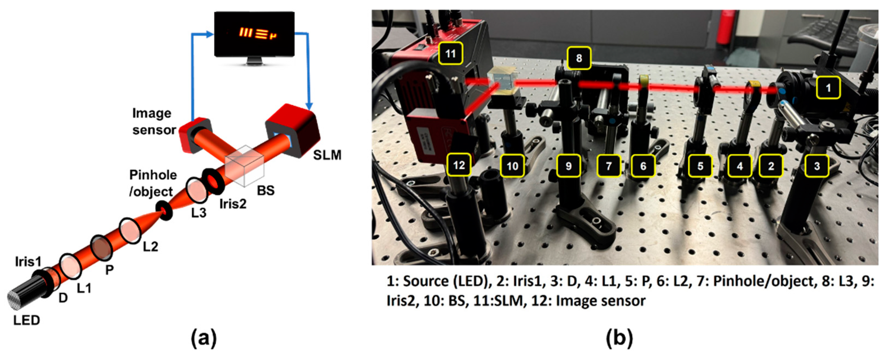 Preprints 155993 g016