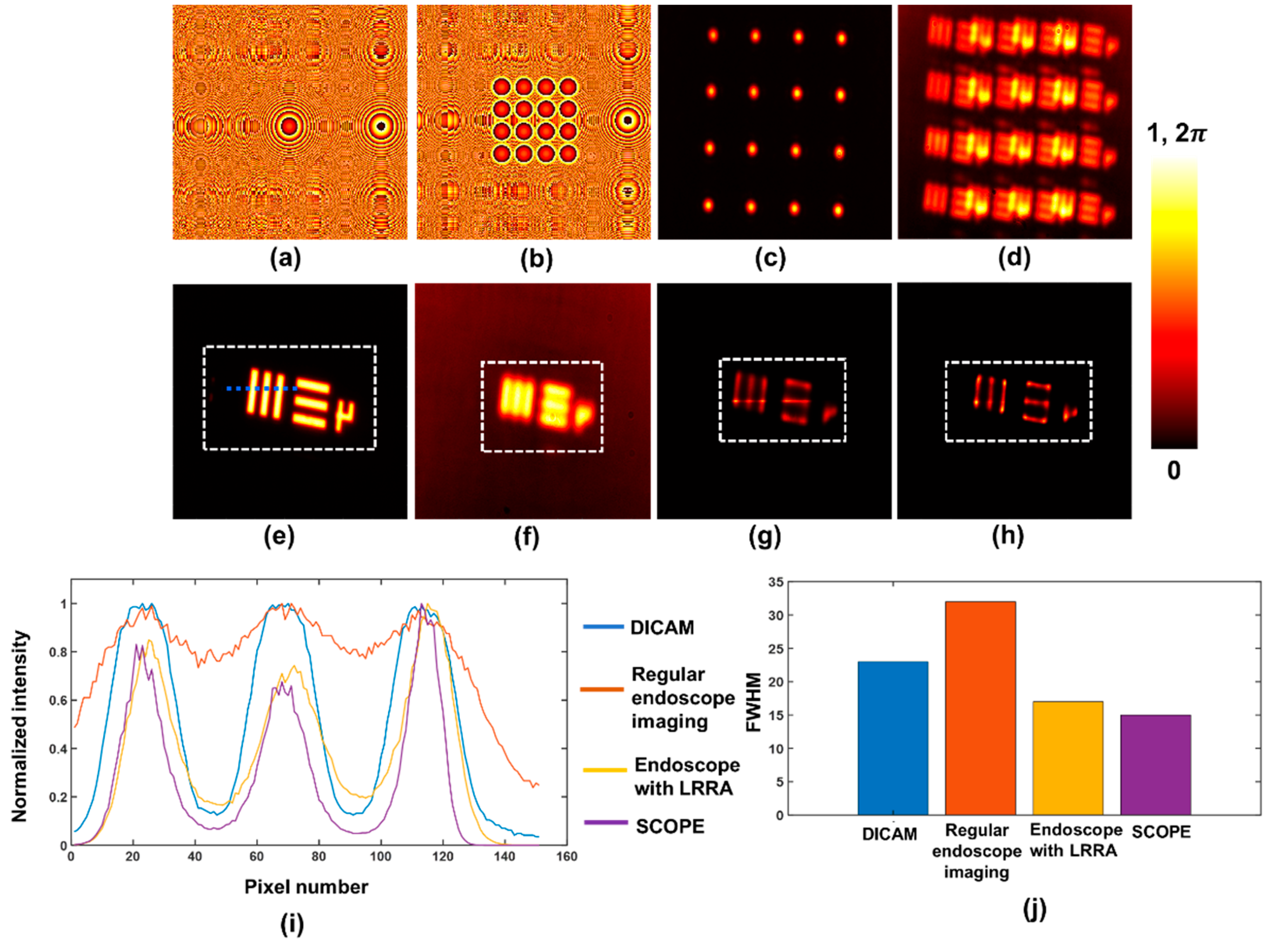 Preprints 155993 g017