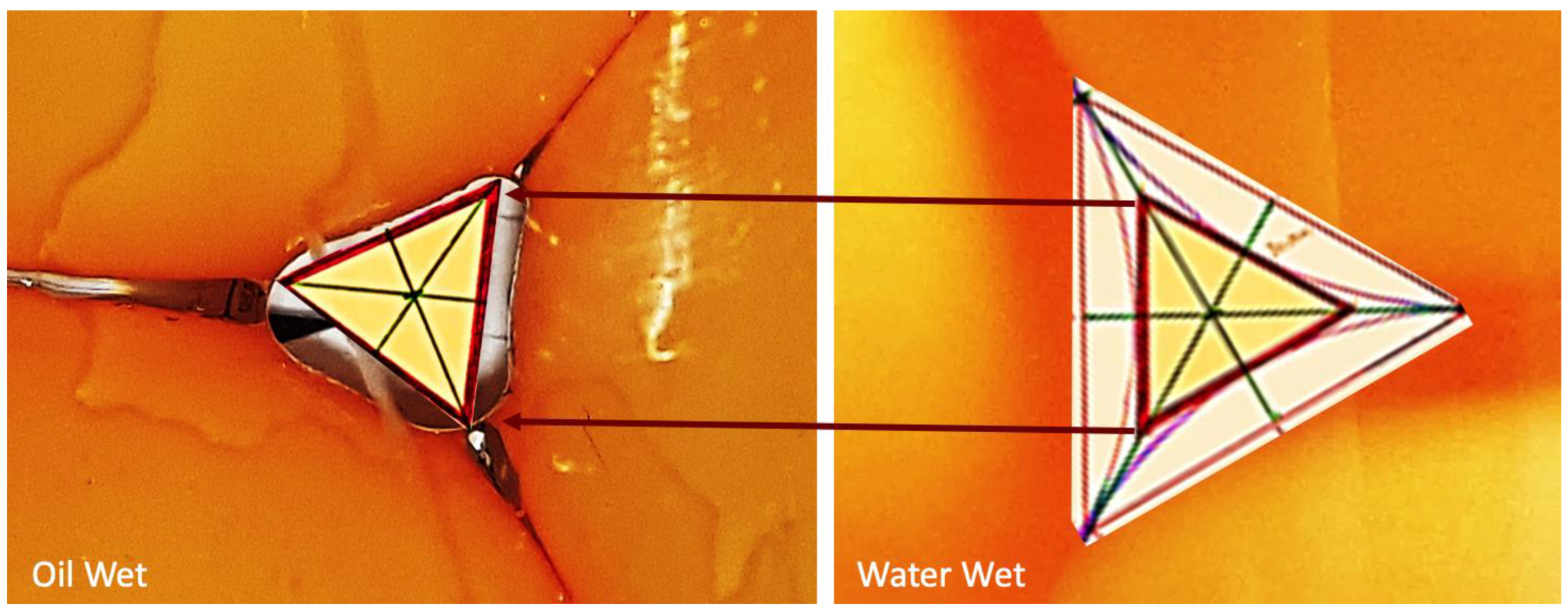 Preprints 160308 g003