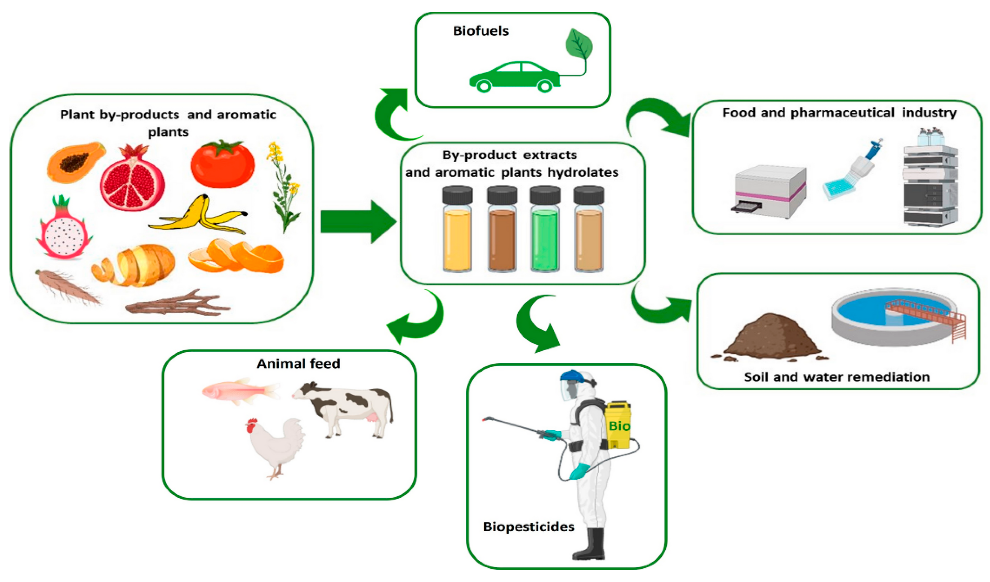Preprints 189061 g002