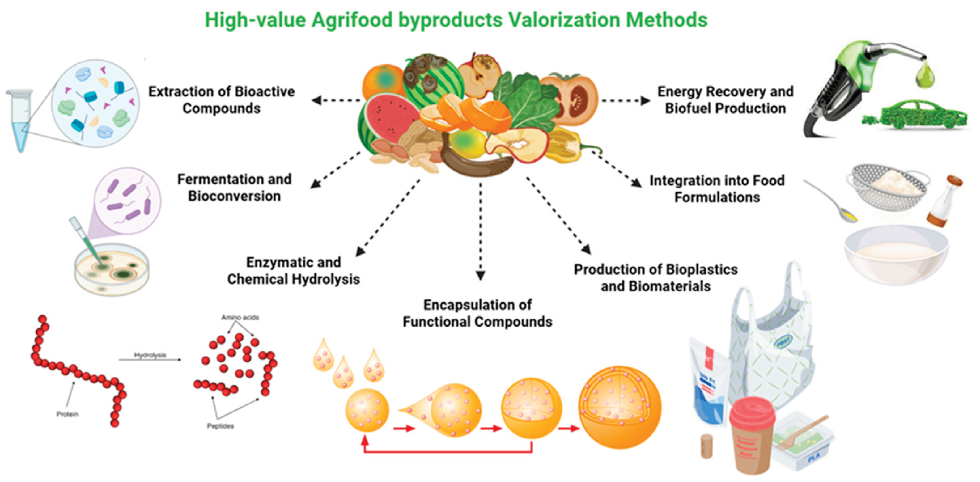 Preprints 189061 g003