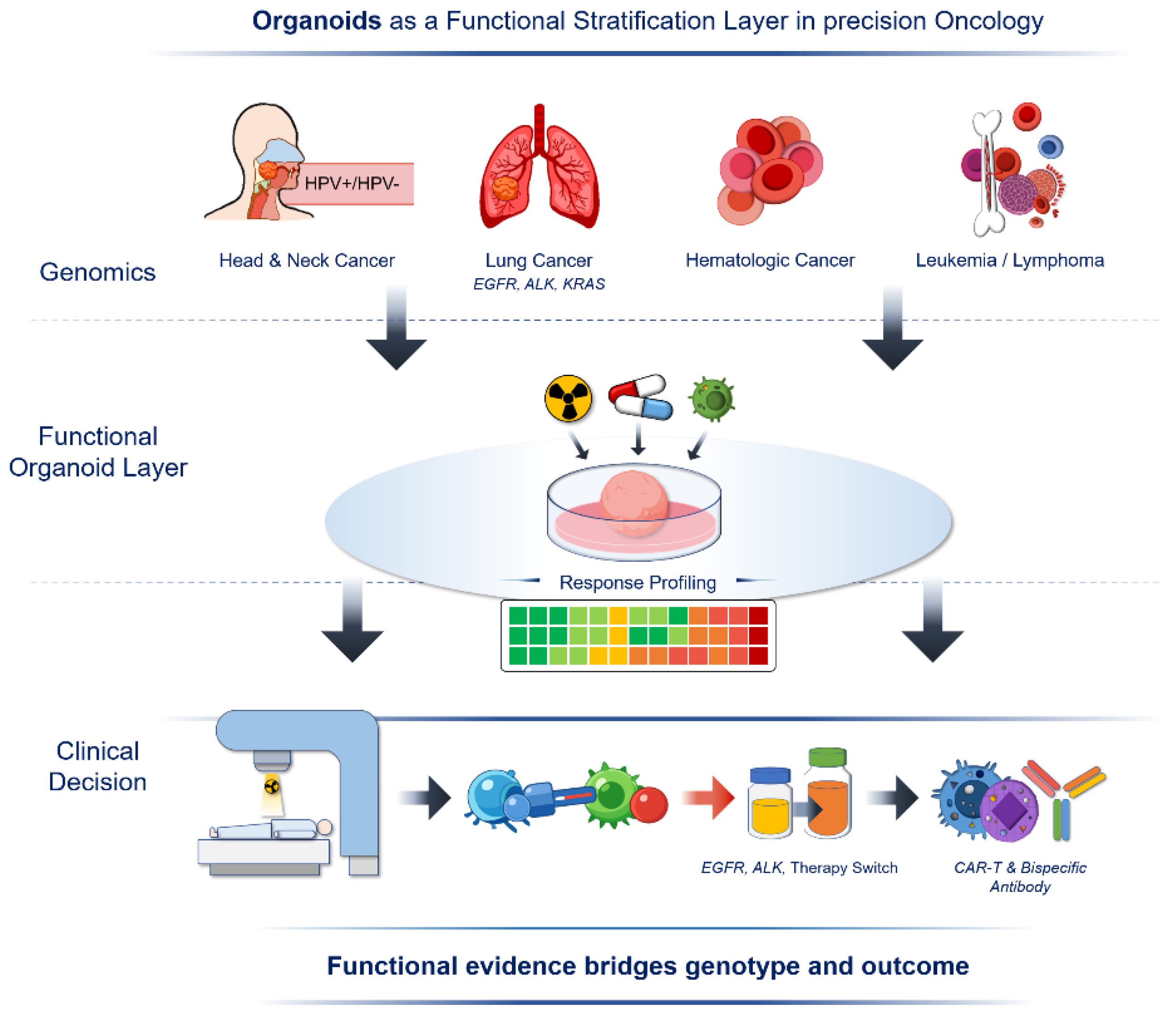 Preprints 200634 g002