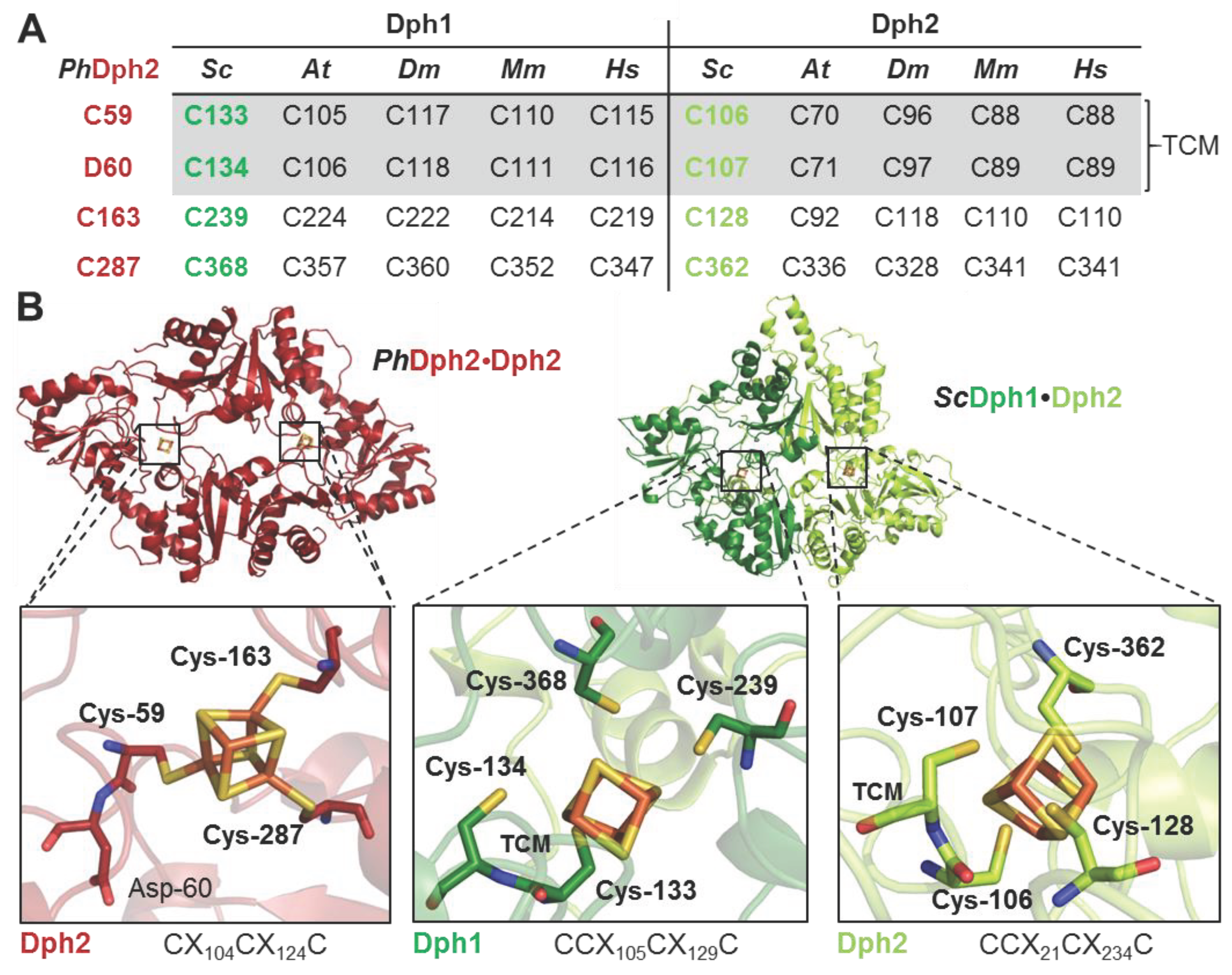 Preprints 102193 g001