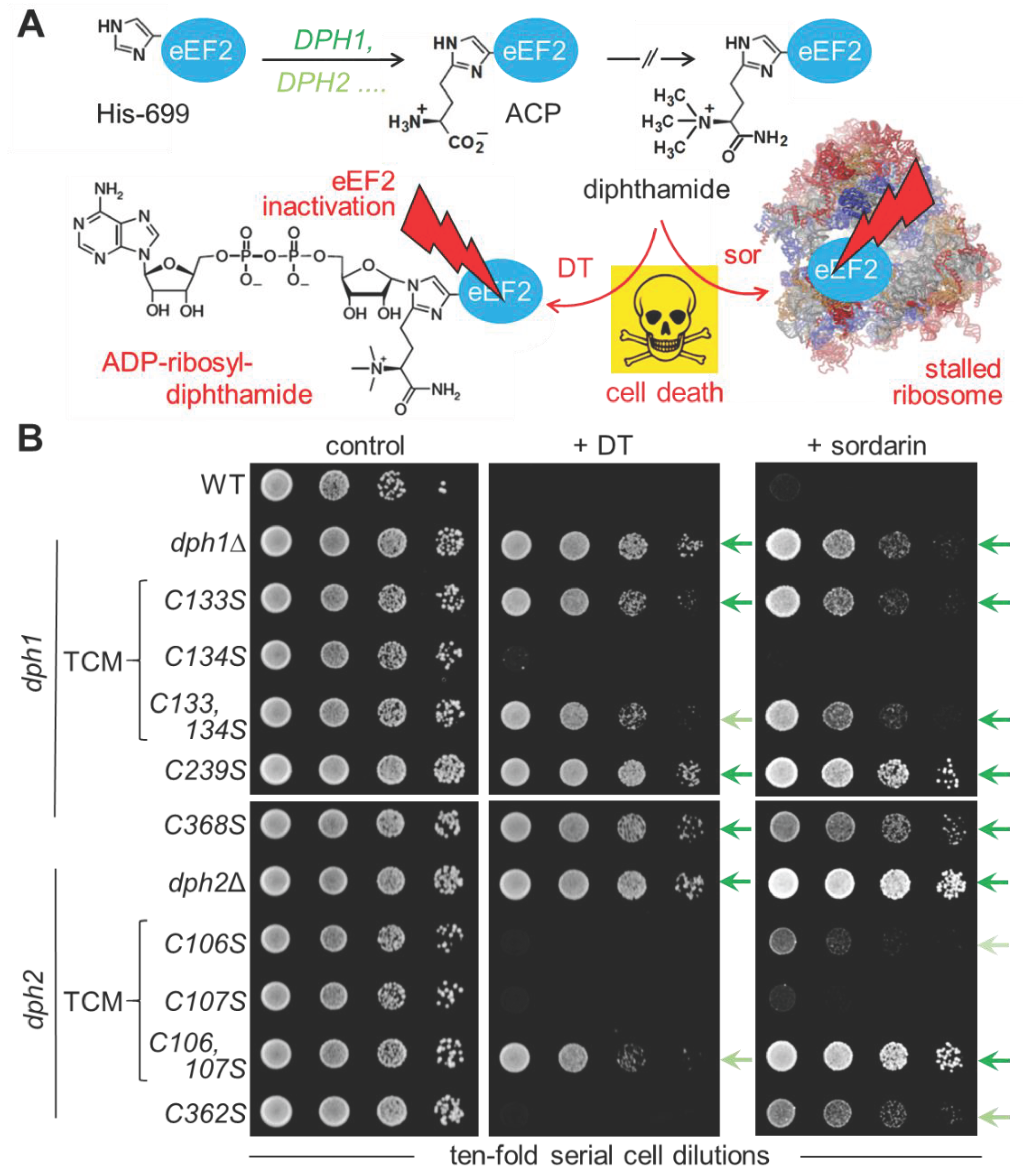 Preprints 102193 g002