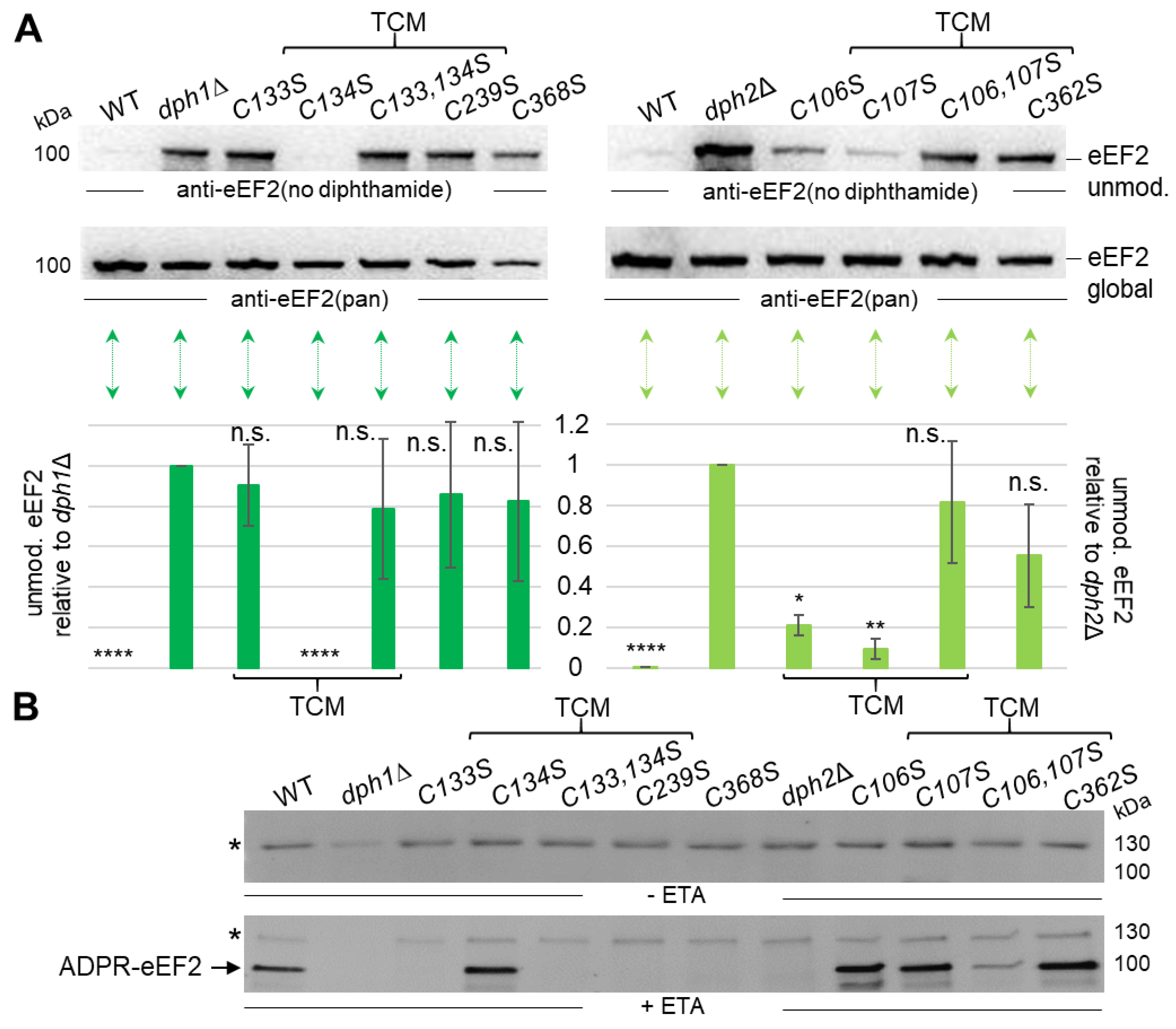 Preprints 102193 g003