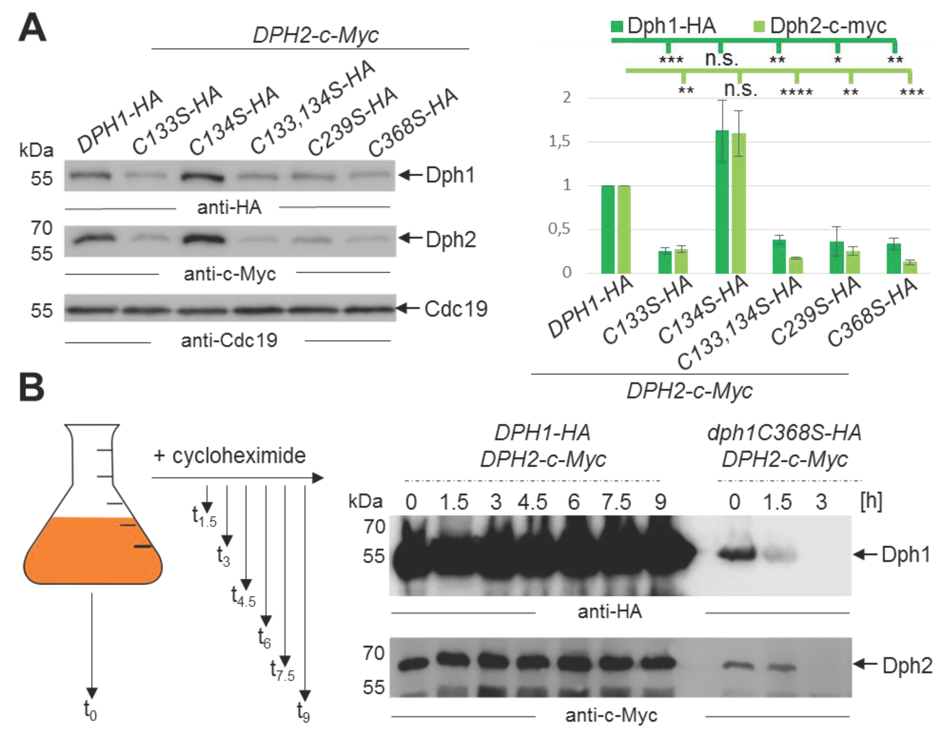 Preprints 102193 g004