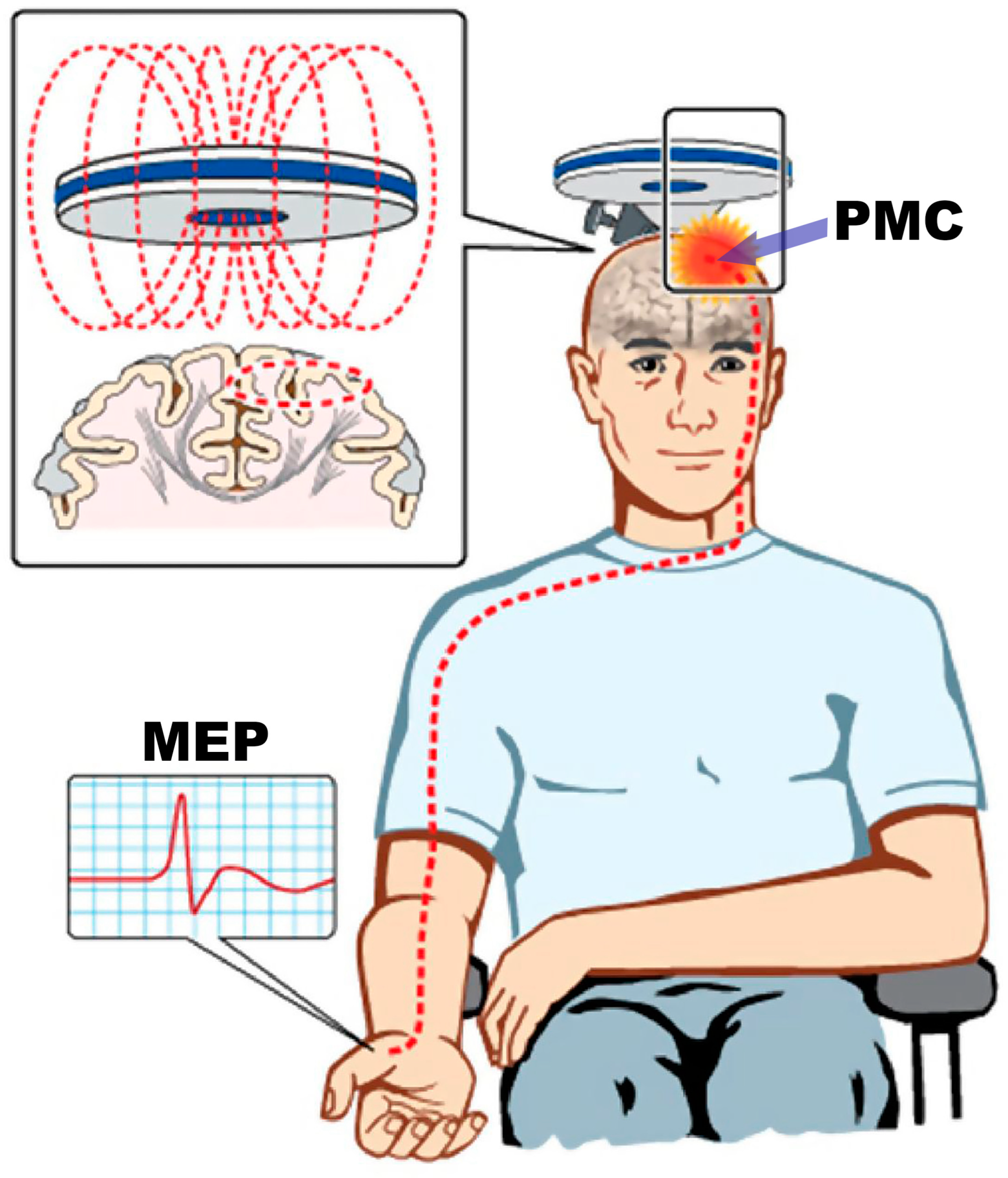 Preprints 138153 g002