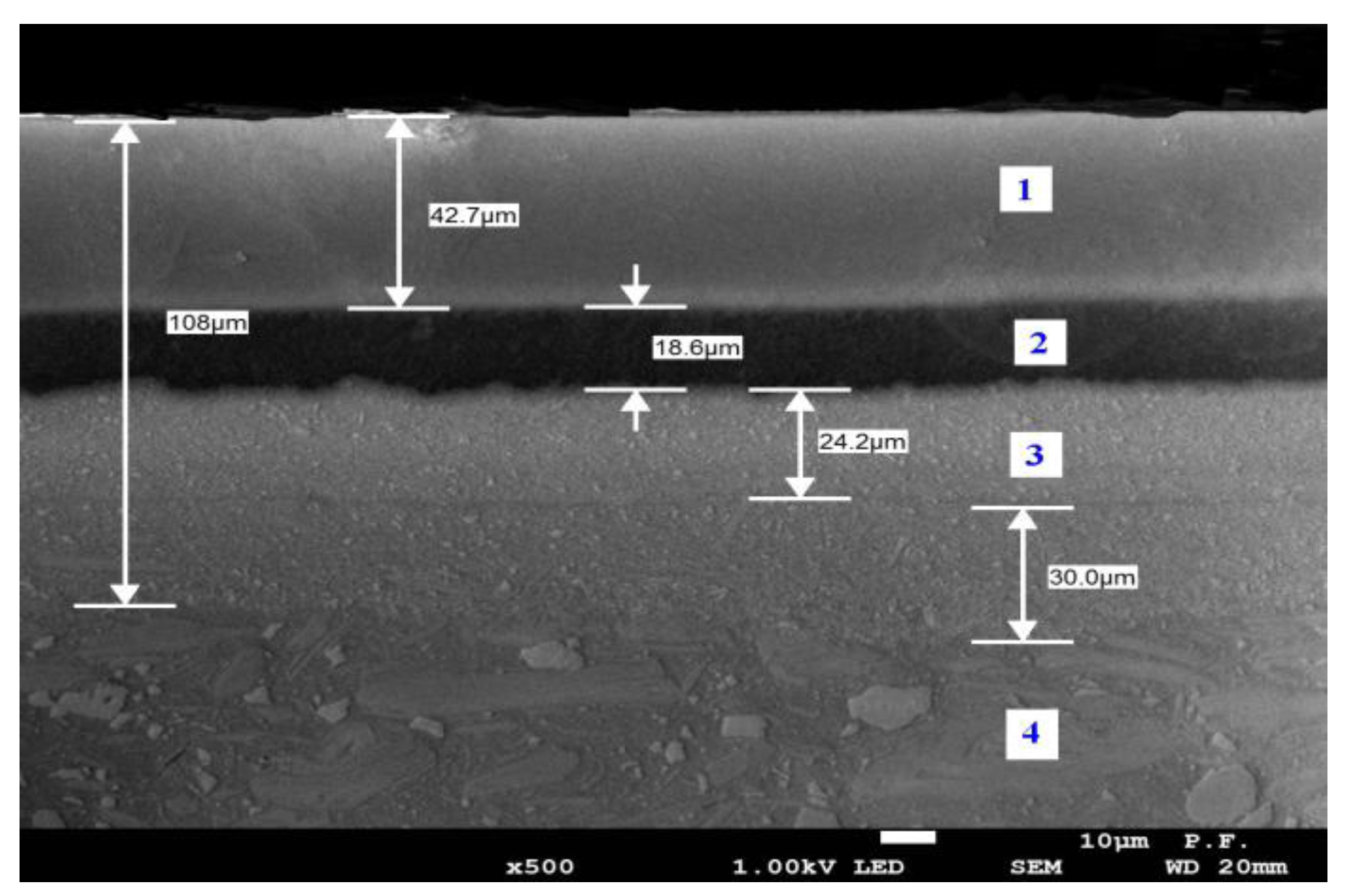 Preprints 159137 g002