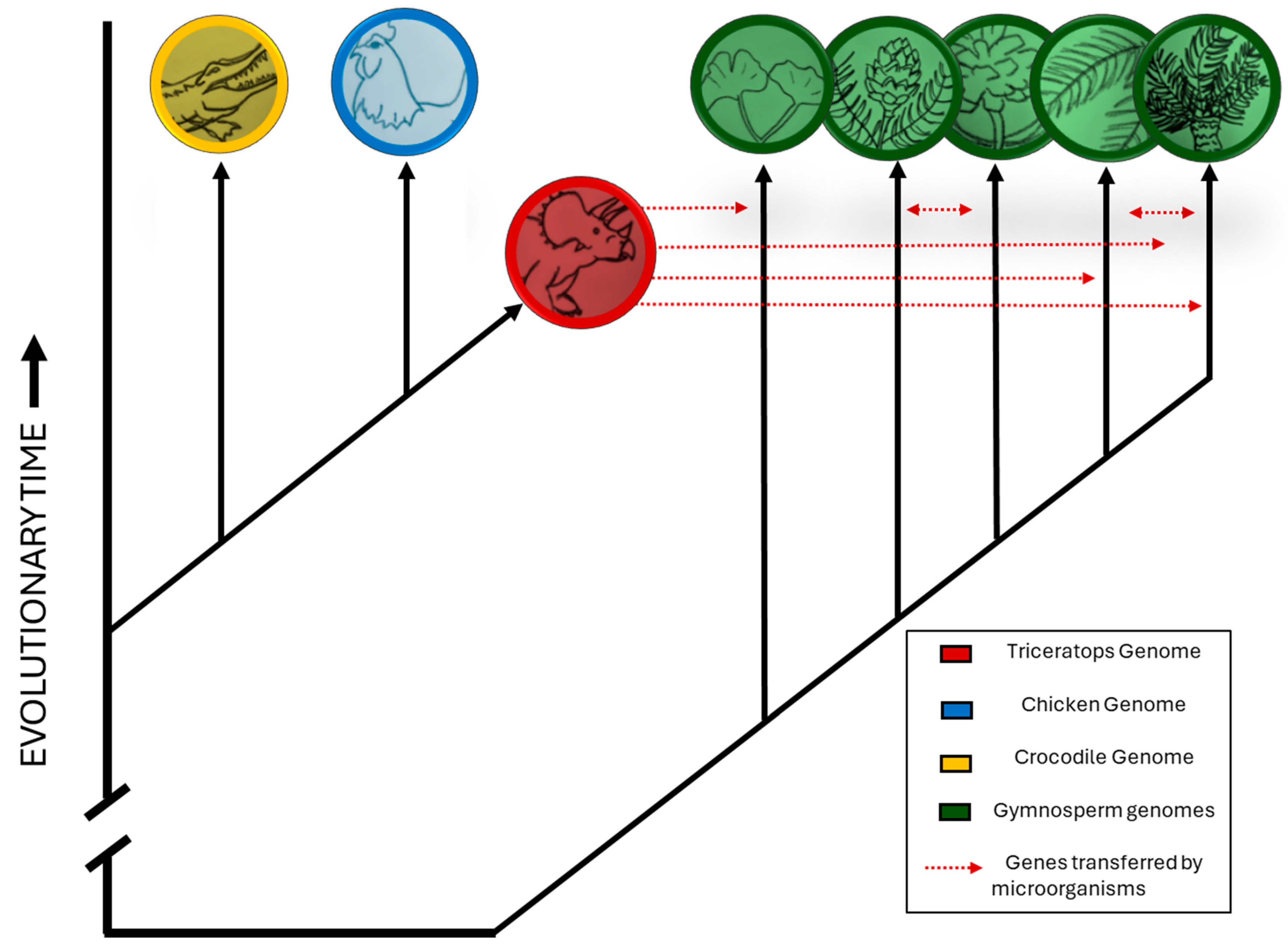 Preprints 197660 g002