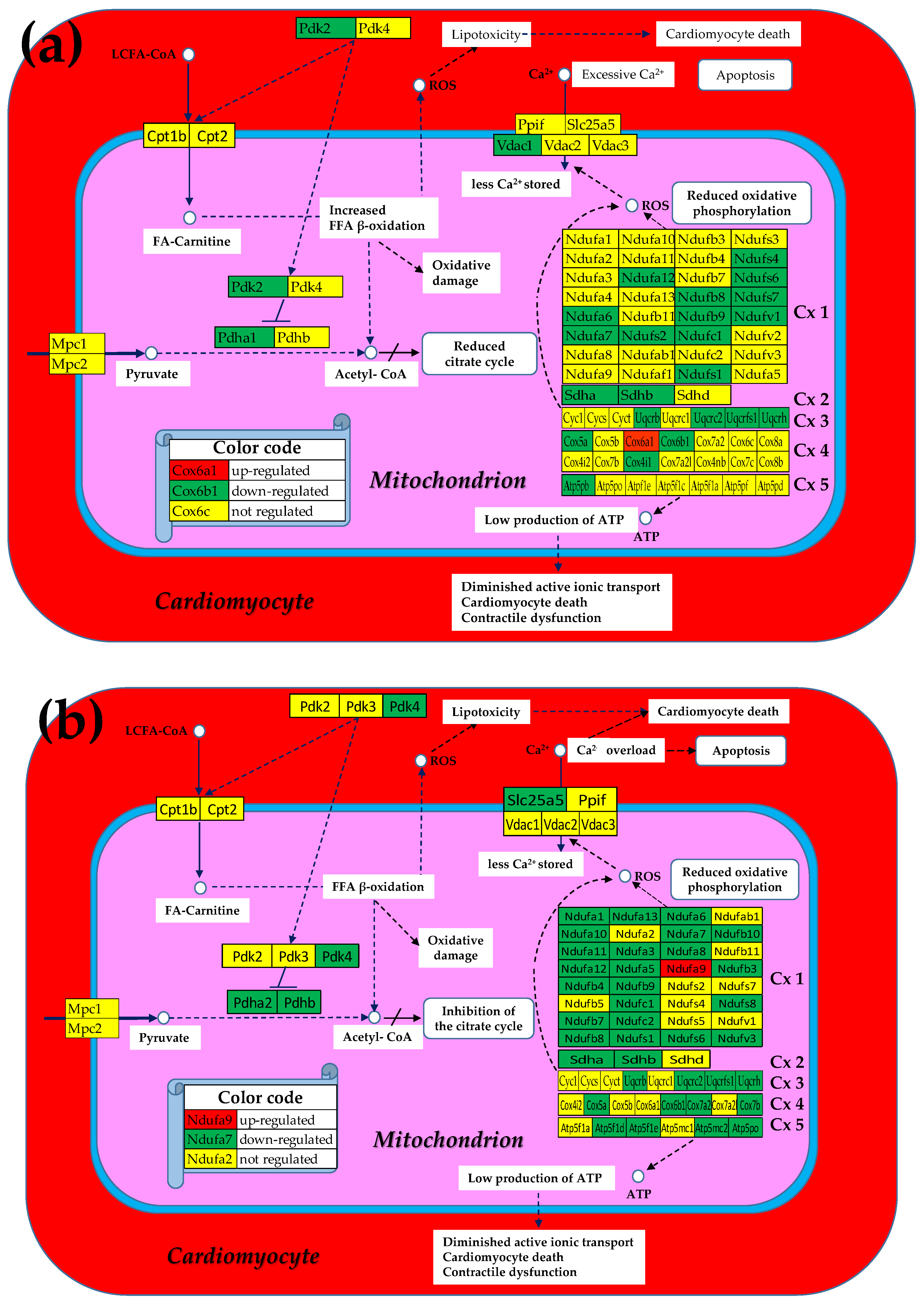 Preprints 178130 g001