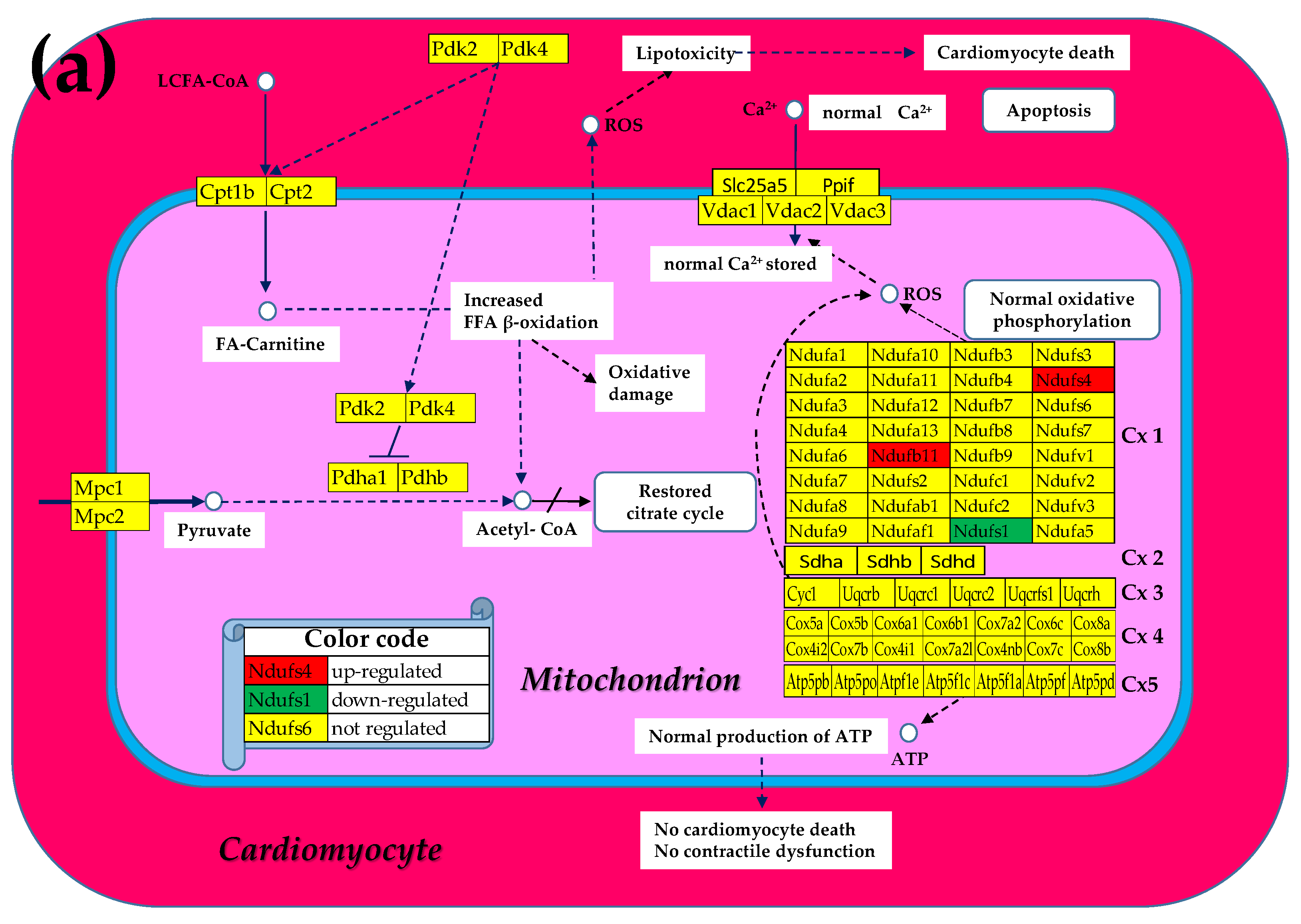 Preprints 178130 g002a