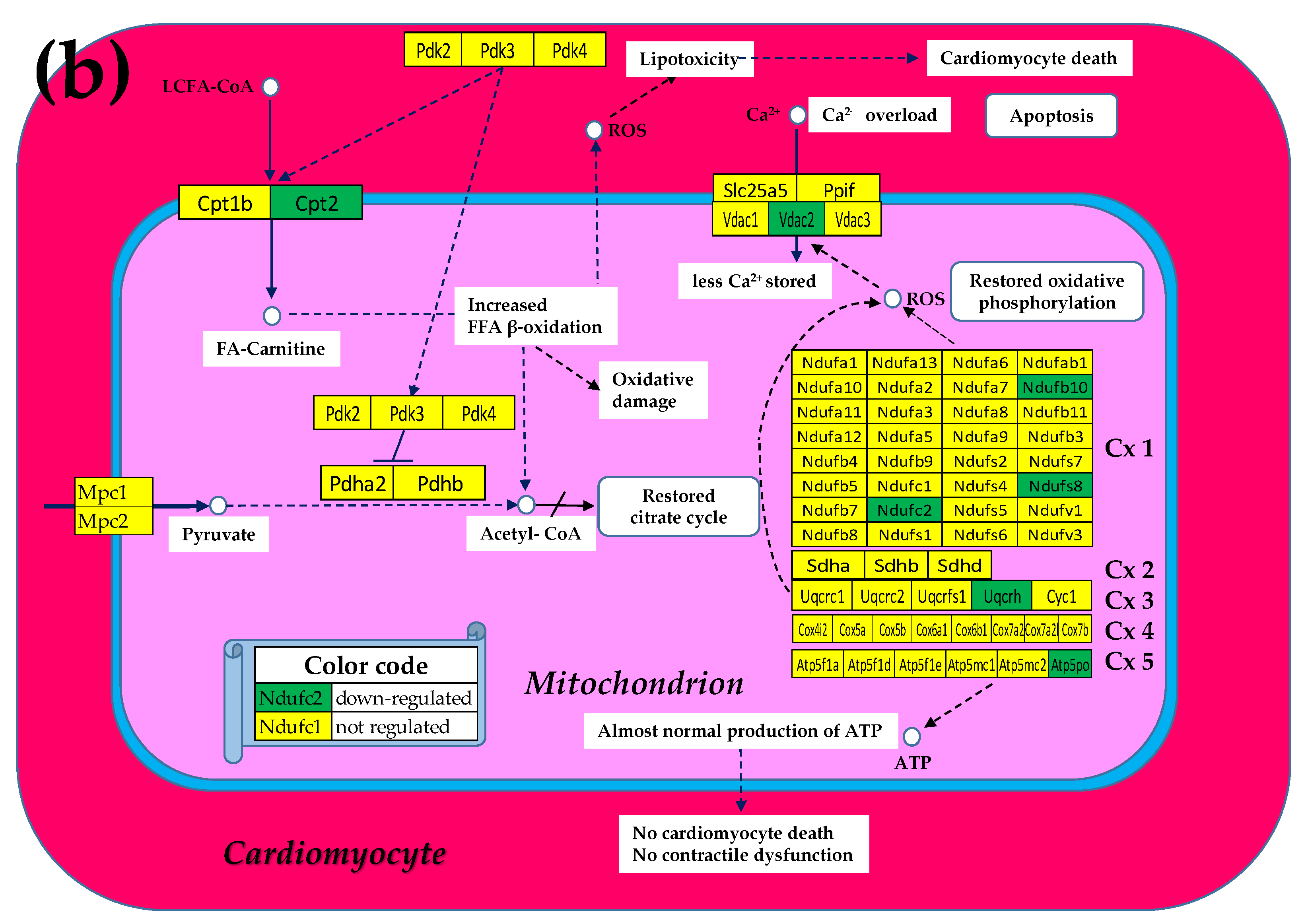 Preprints 178130 g002b