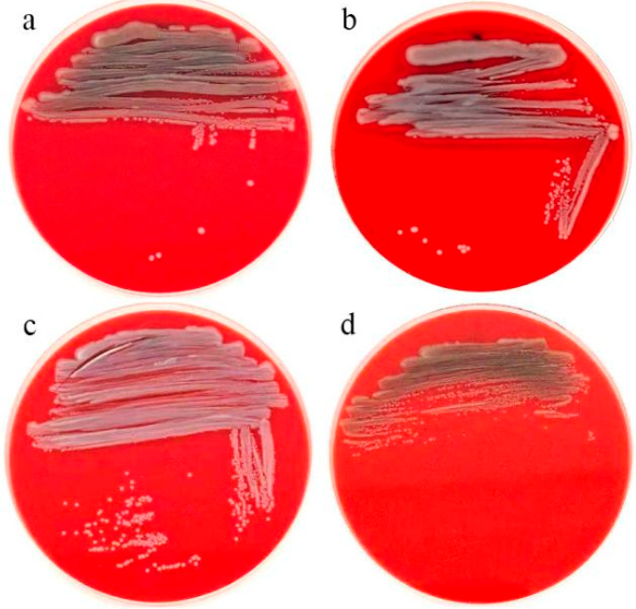 Preprints 222442 g003 Preprints 222442 g003