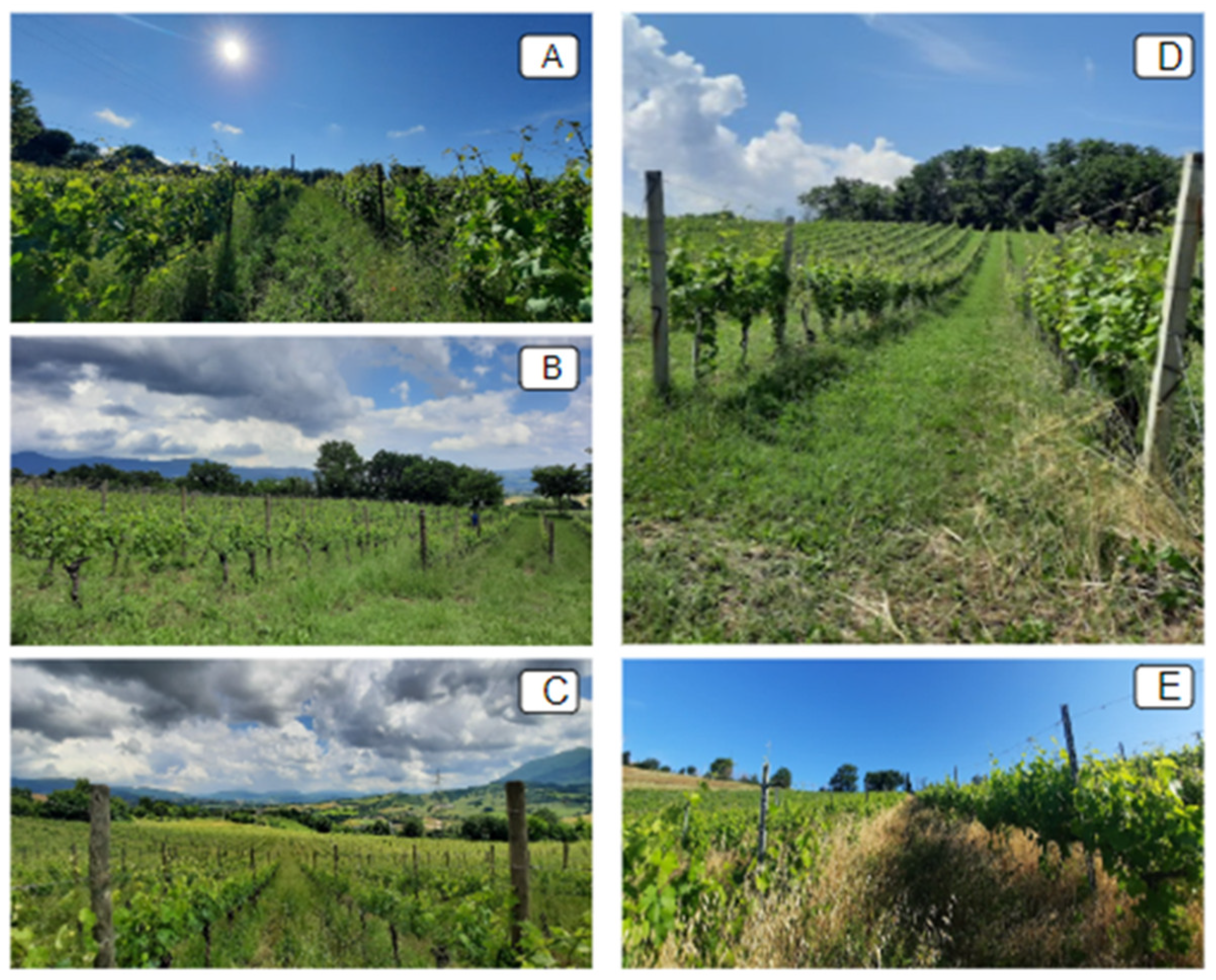 Preprints 150449 g001