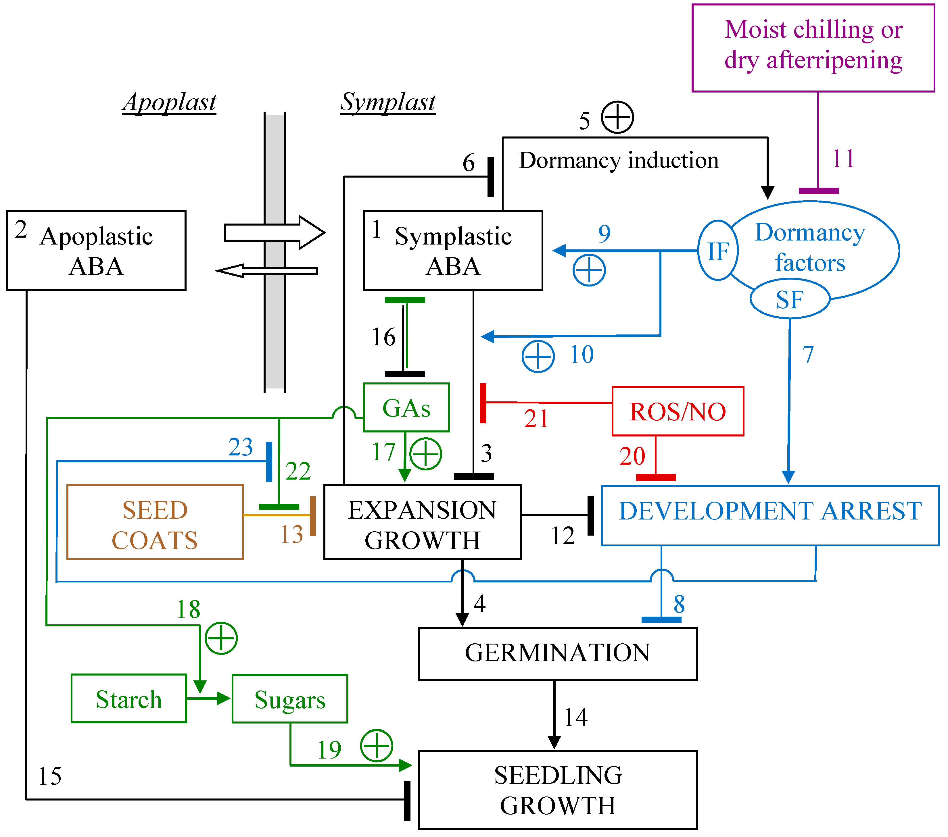 Preprints 88640 g002