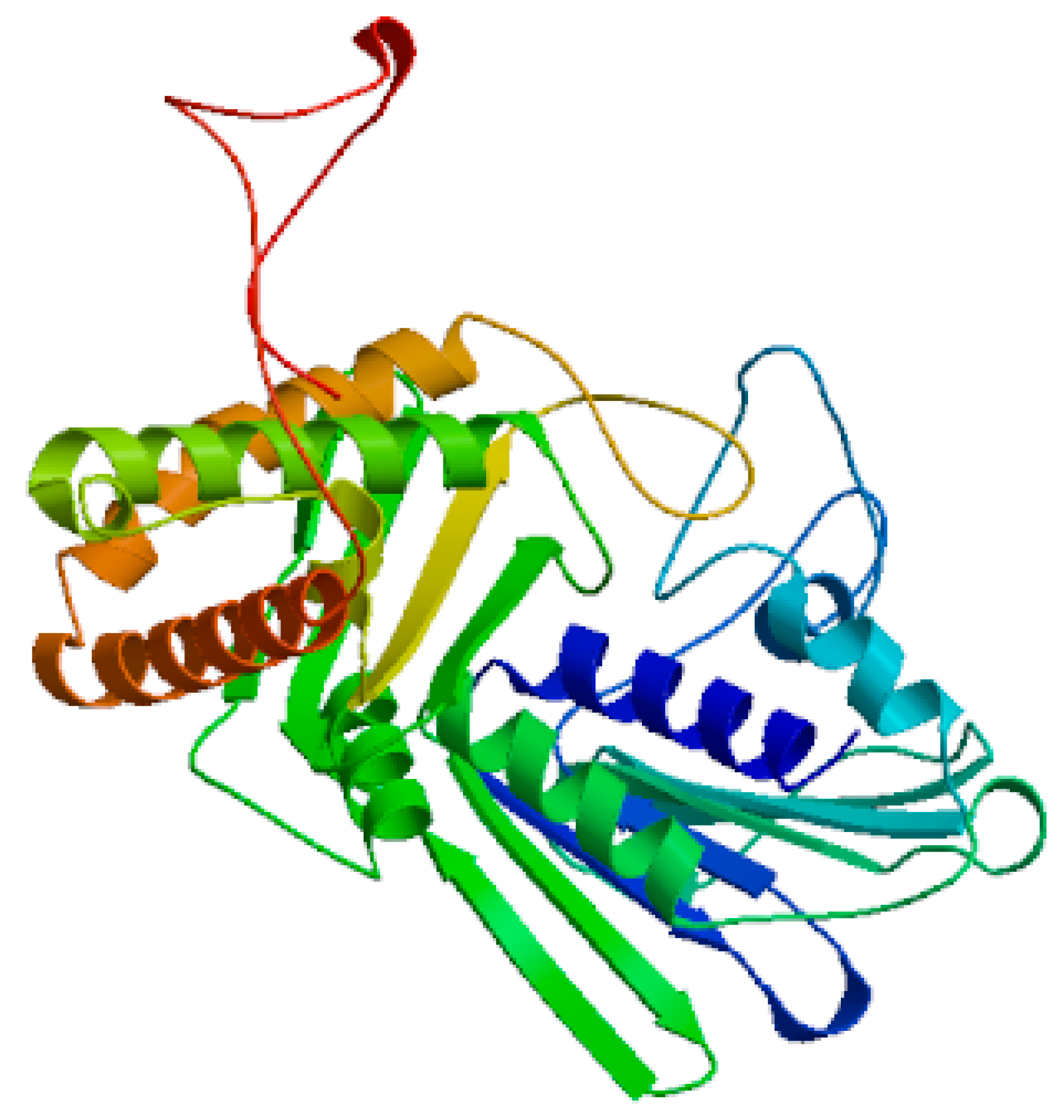 Preprints 140042 g002