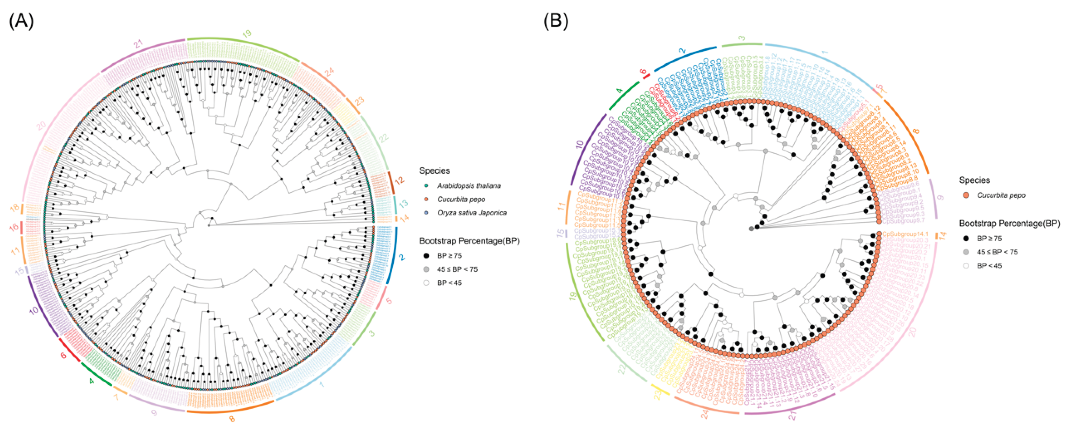 Preprints 226925 g002