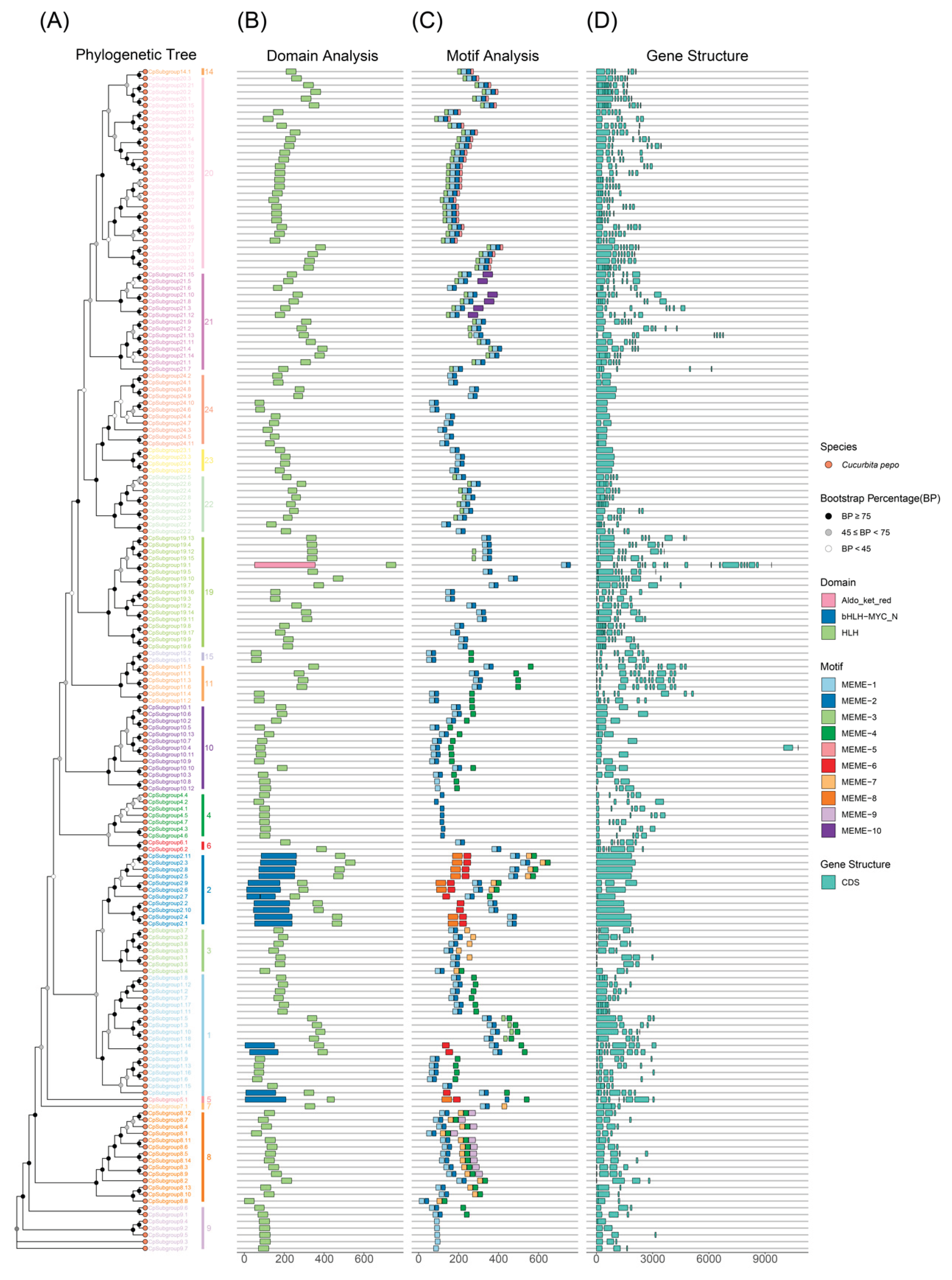 Preprints 226925 g003