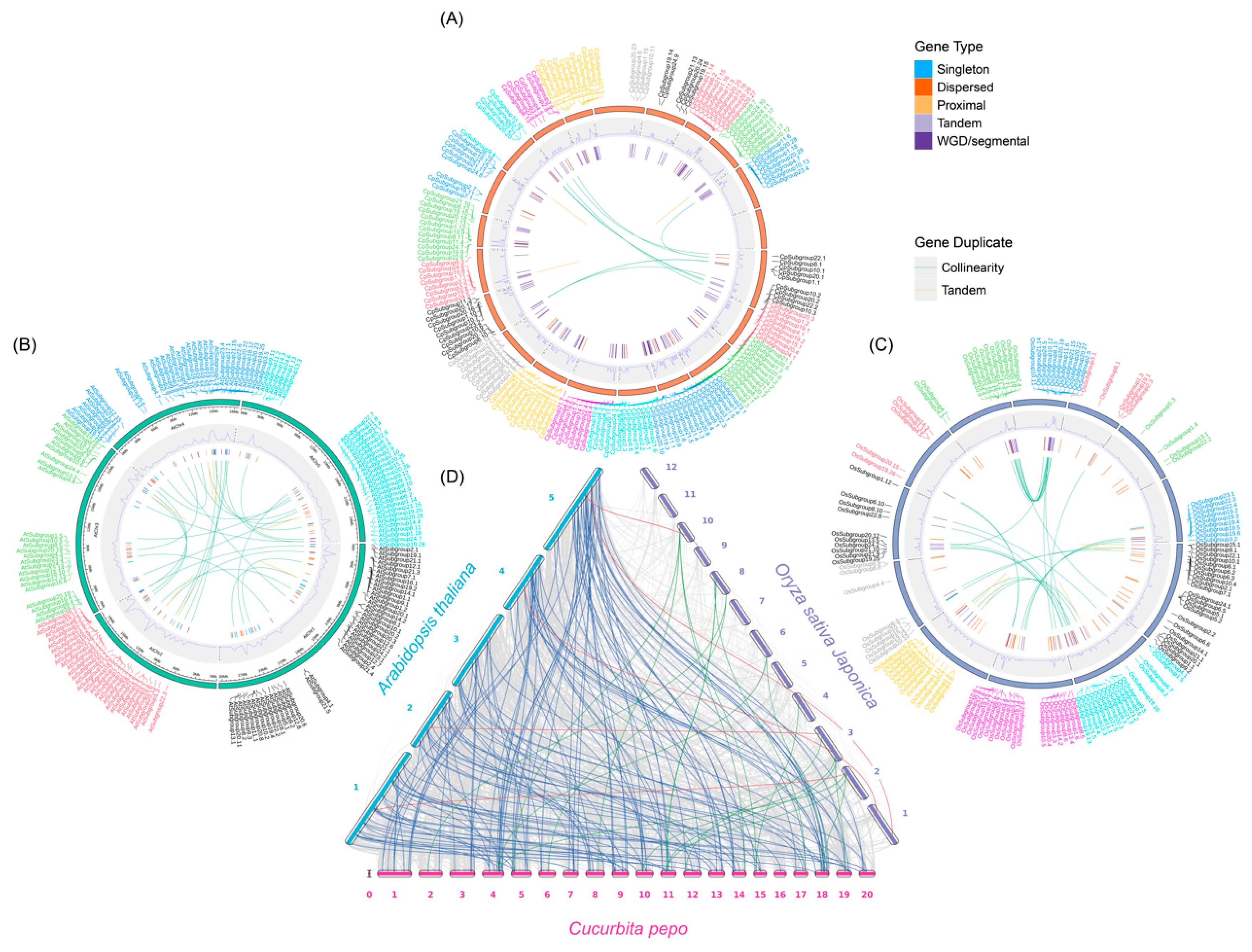 Preprints 226925 g004