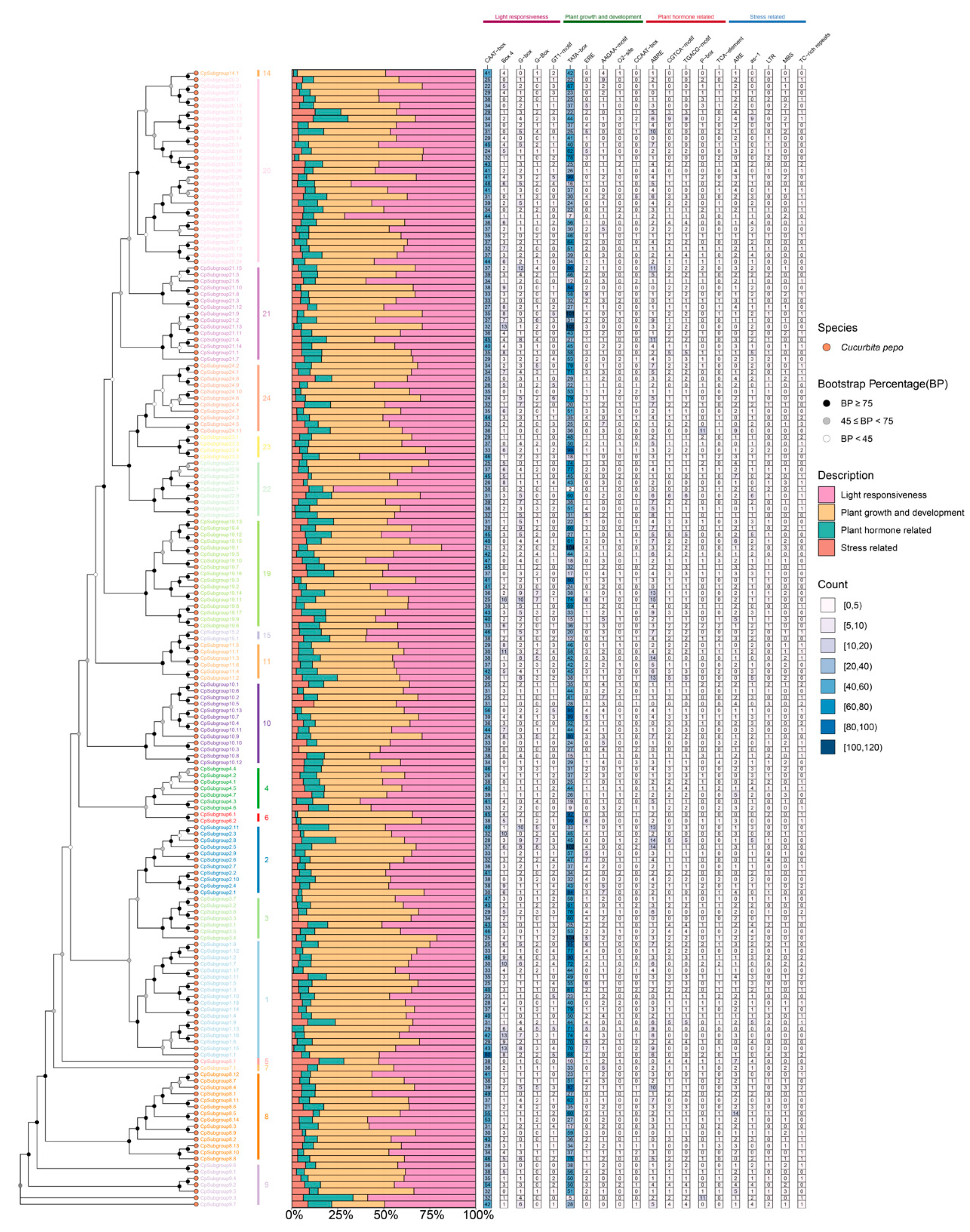 Preprints 226925 g005