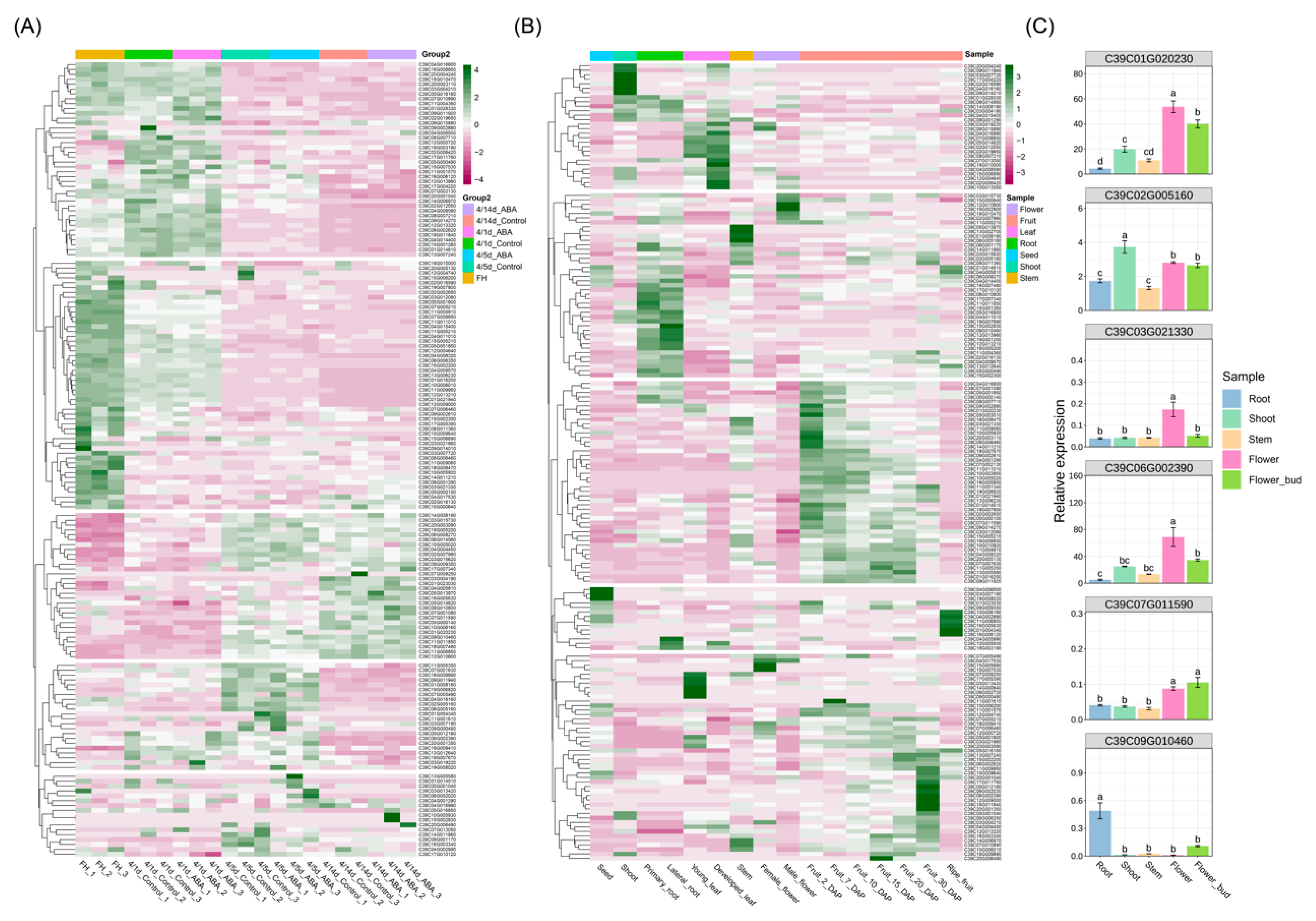 Preprints 226925 g008