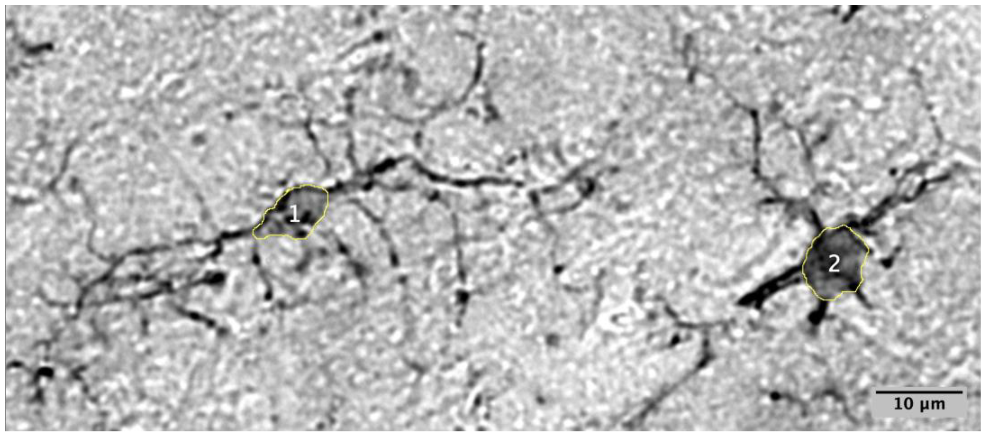 Preprints 176186 g001