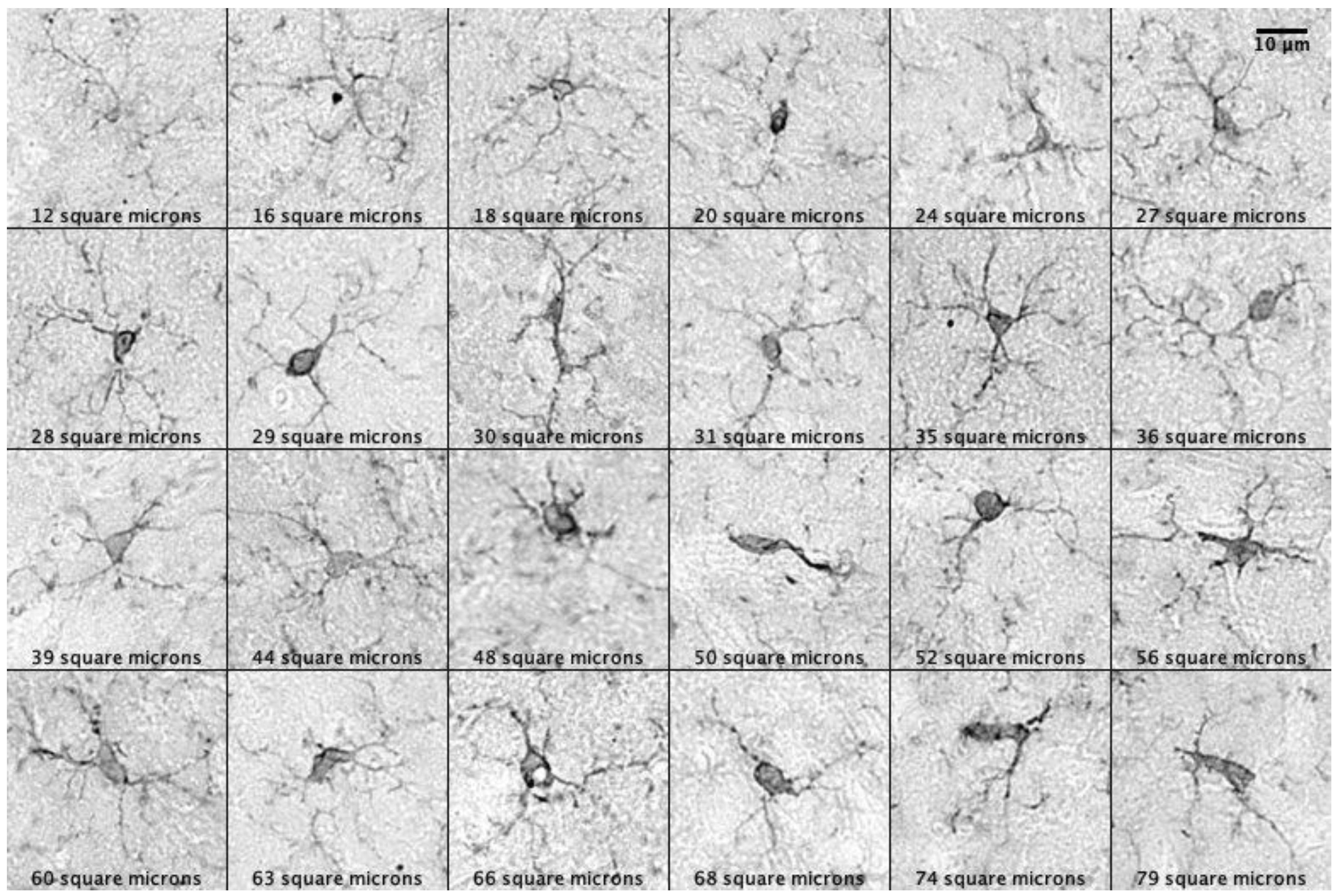 Preprints 176186 g002