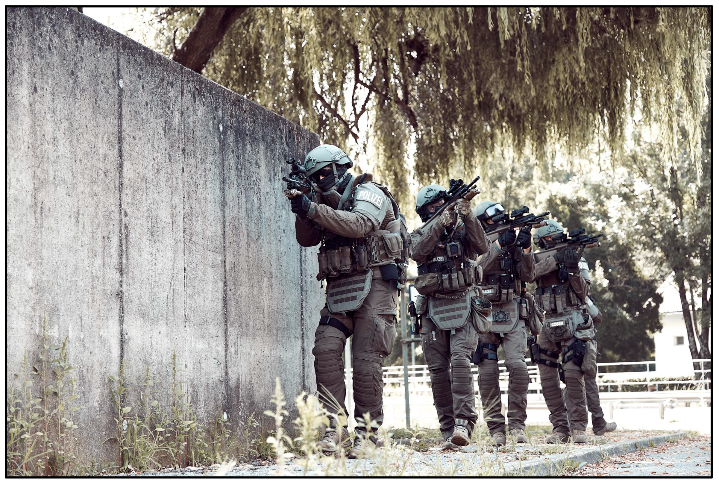 Preprints 150229 g001