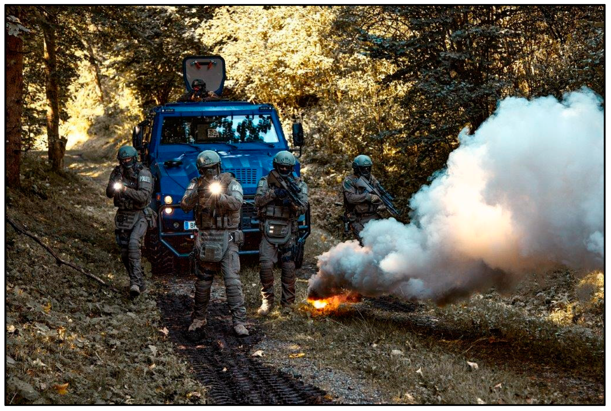 Preprints 150229 g002