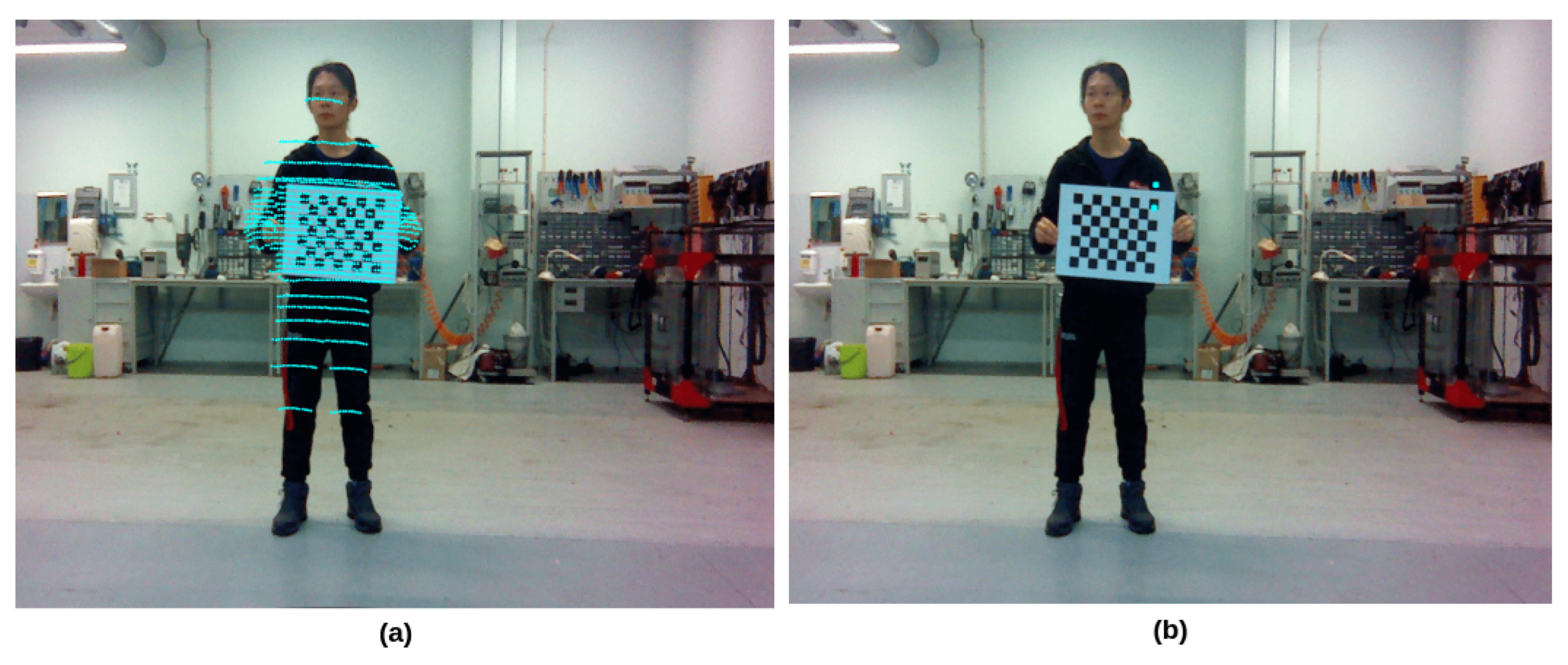 Preprints 74056 g008