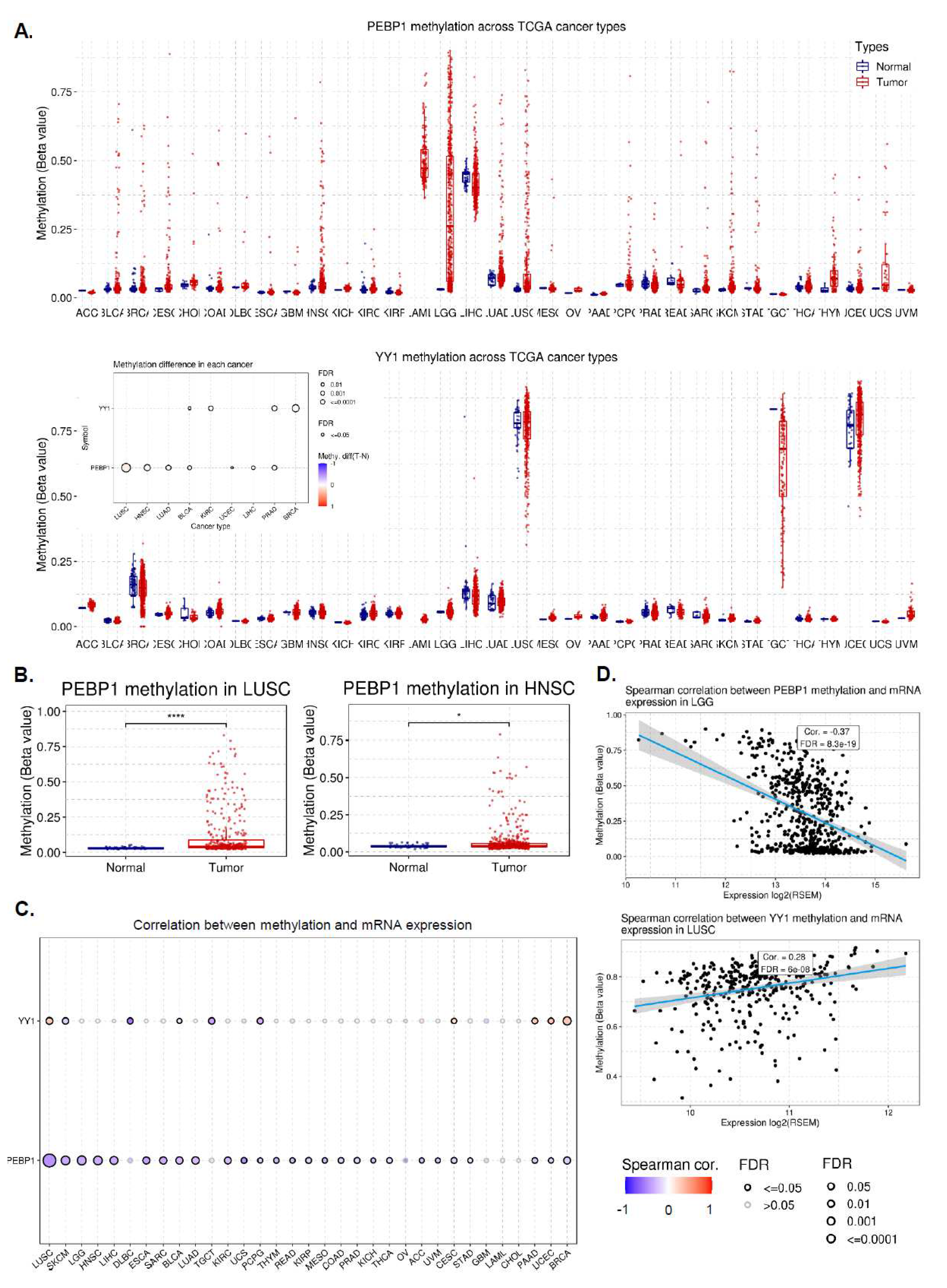 Preprints 84164 g004