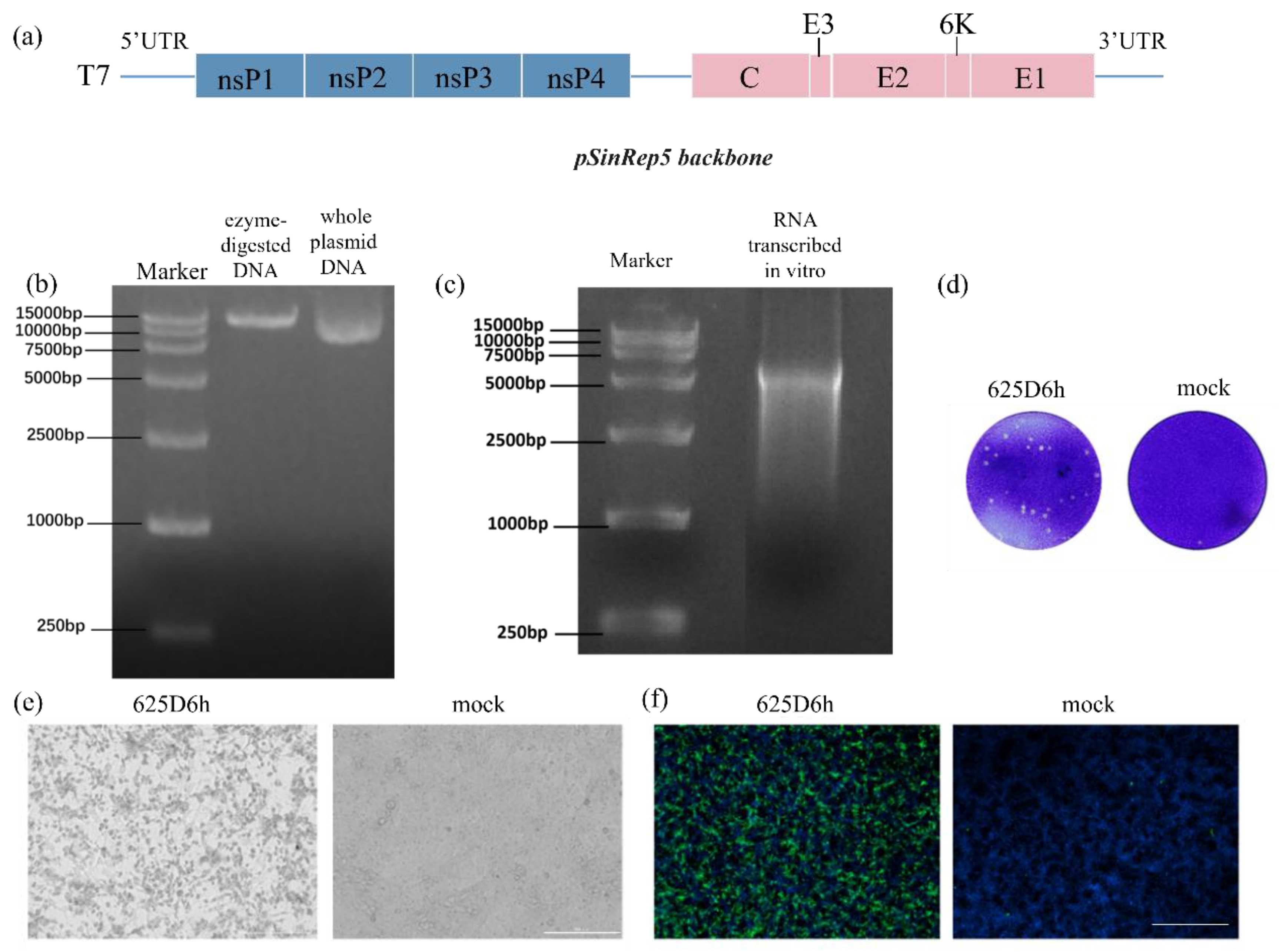 Preprints 170554 g001