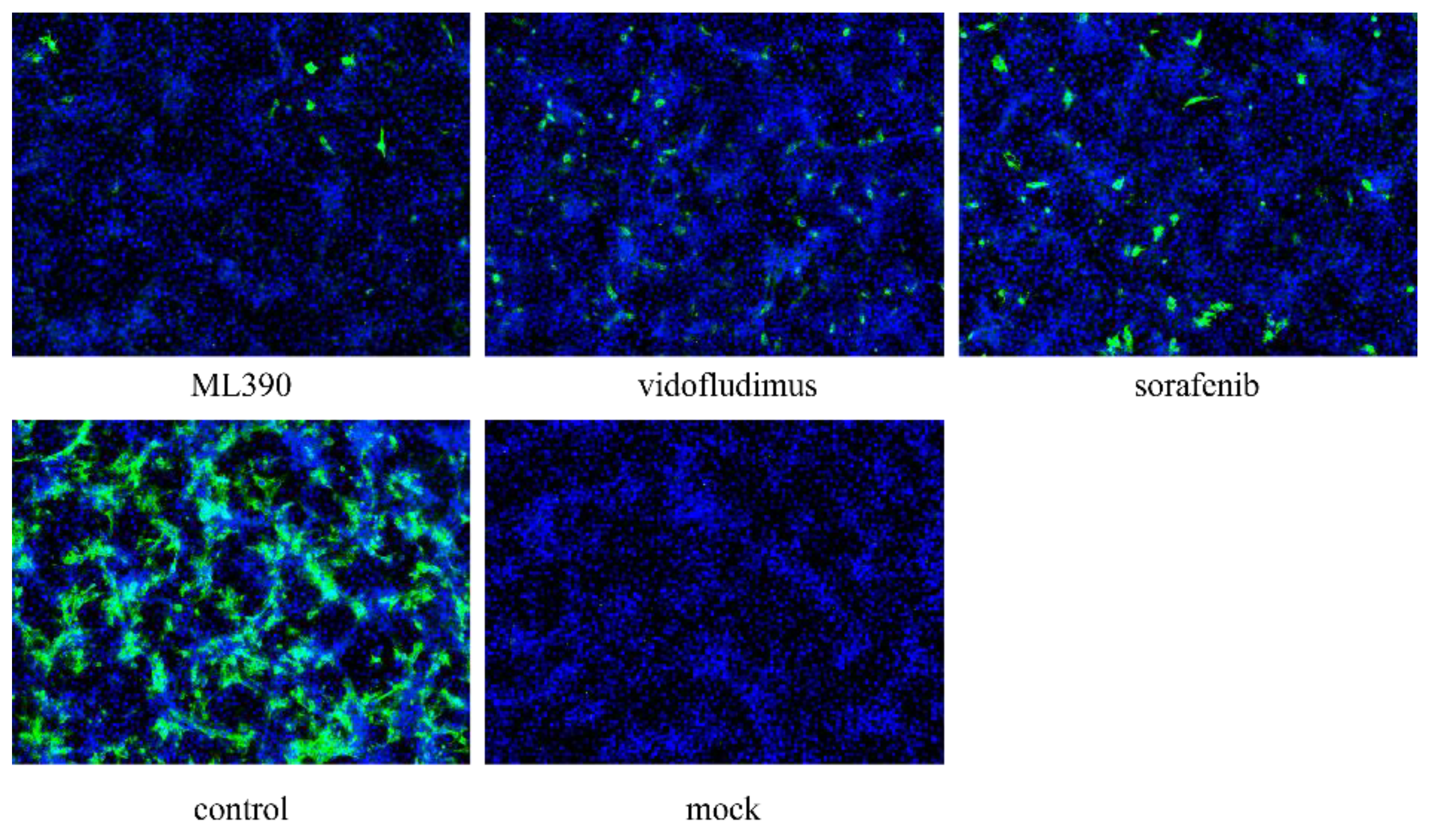 Preprints 170554 g005