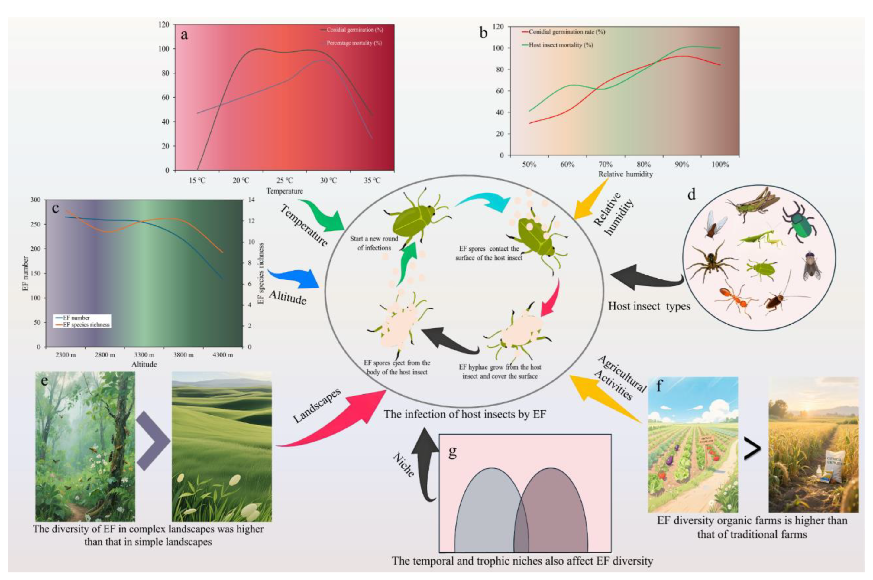 Preprints 167828 g002