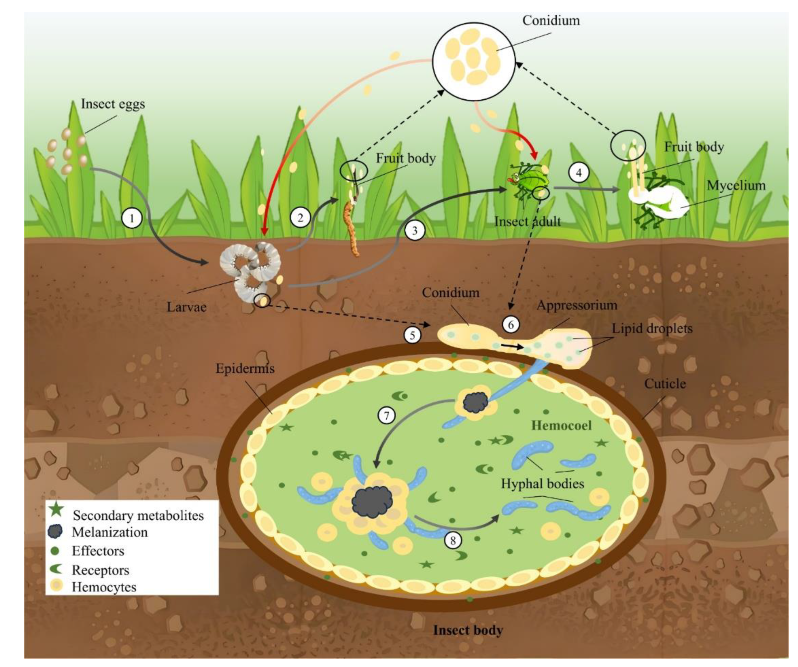 Preprints 167828 g003