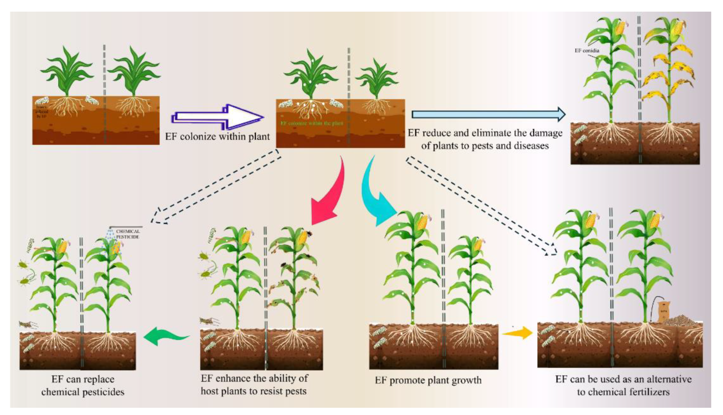 Preprints 167828 g004