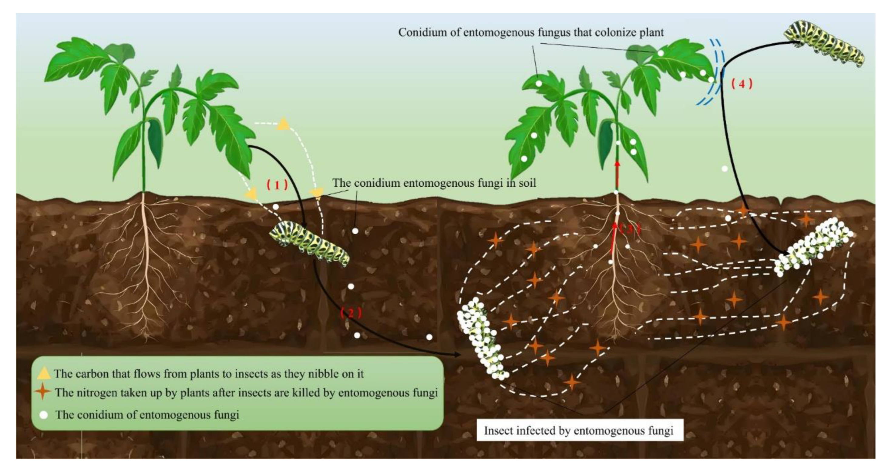 Preprints 167828 g005