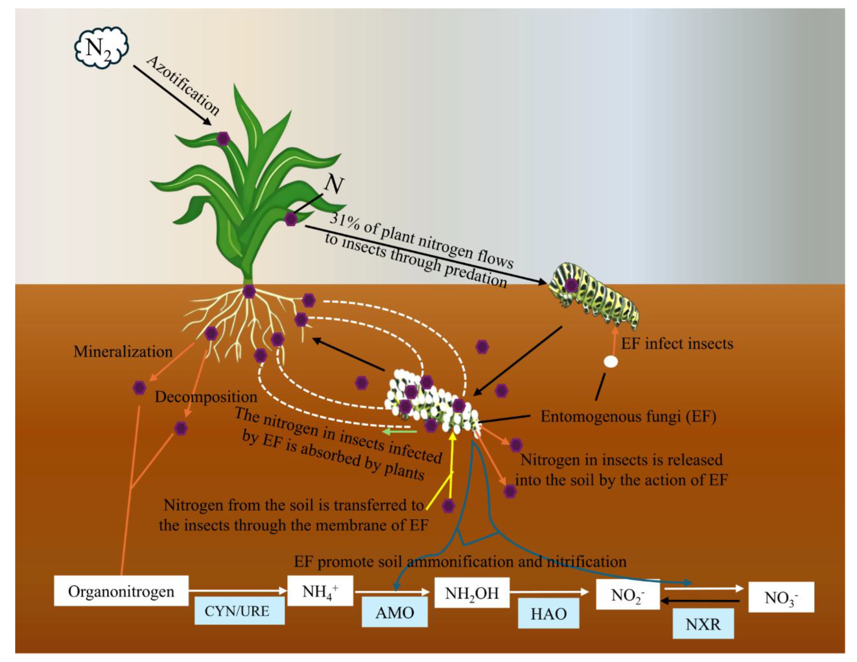 Preprints 167828 g006