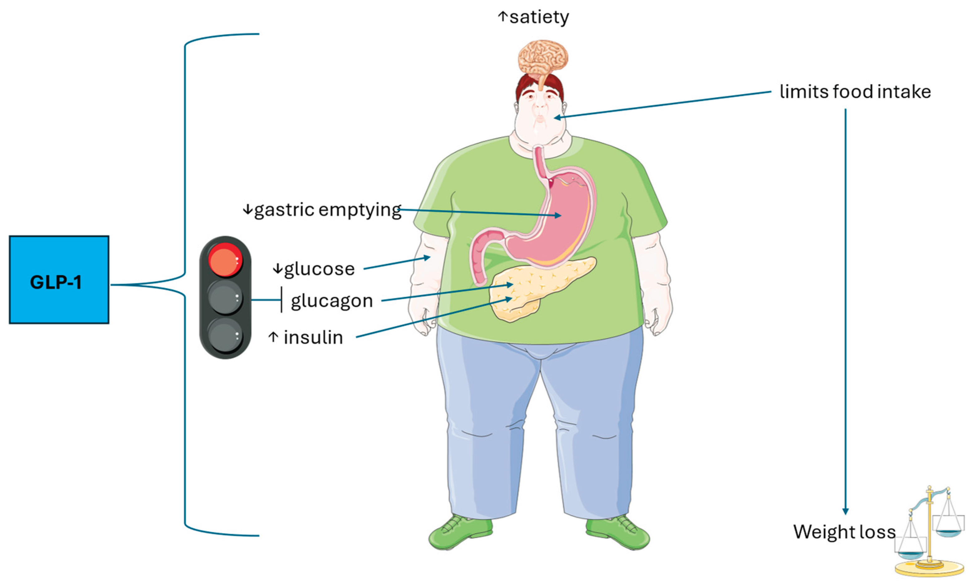 Preprints 182445 g001