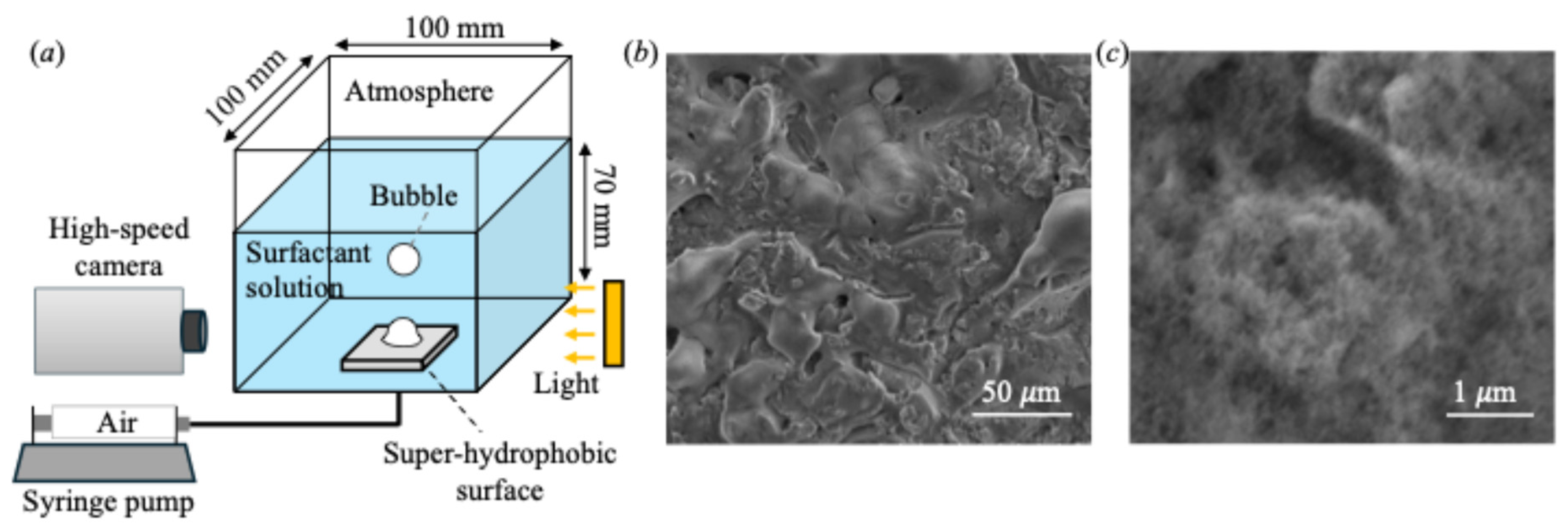 Preprints 158544 g001