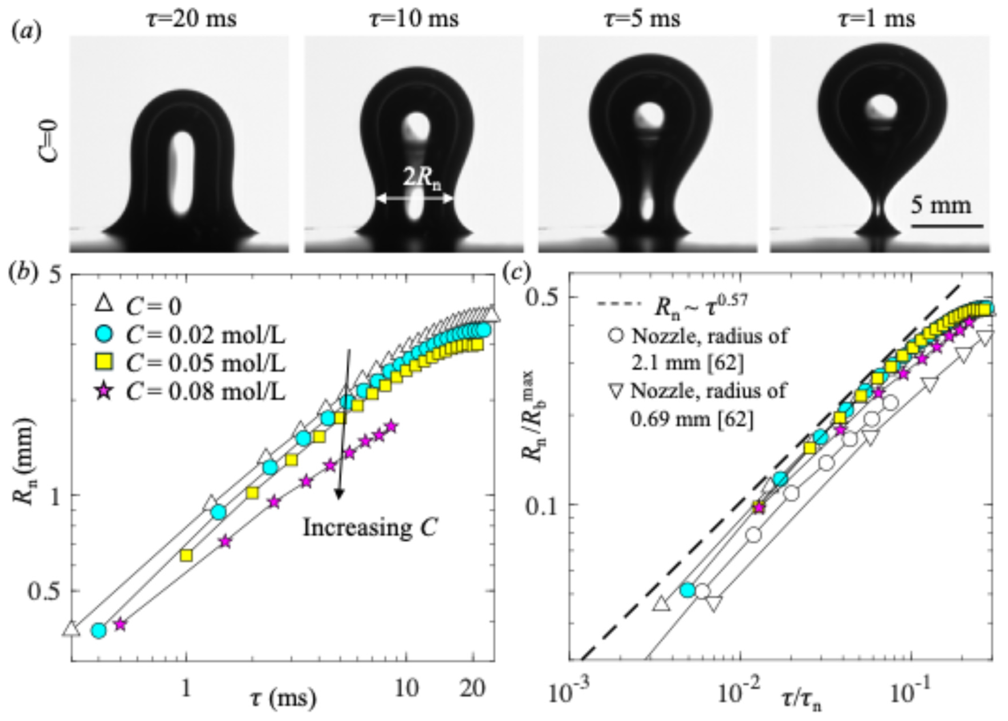 Preprints 158544 g008