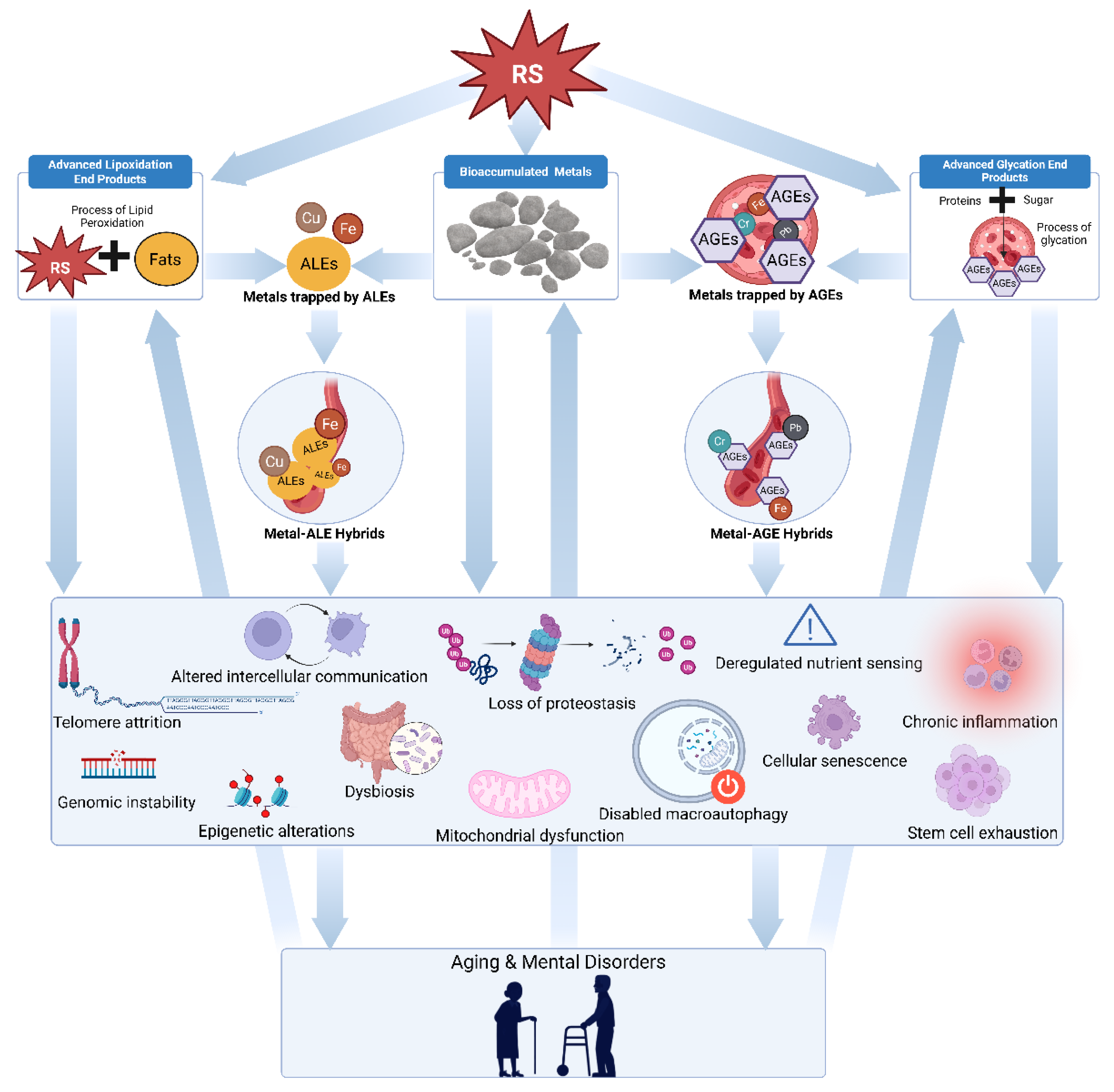 Preprints 181139 g001